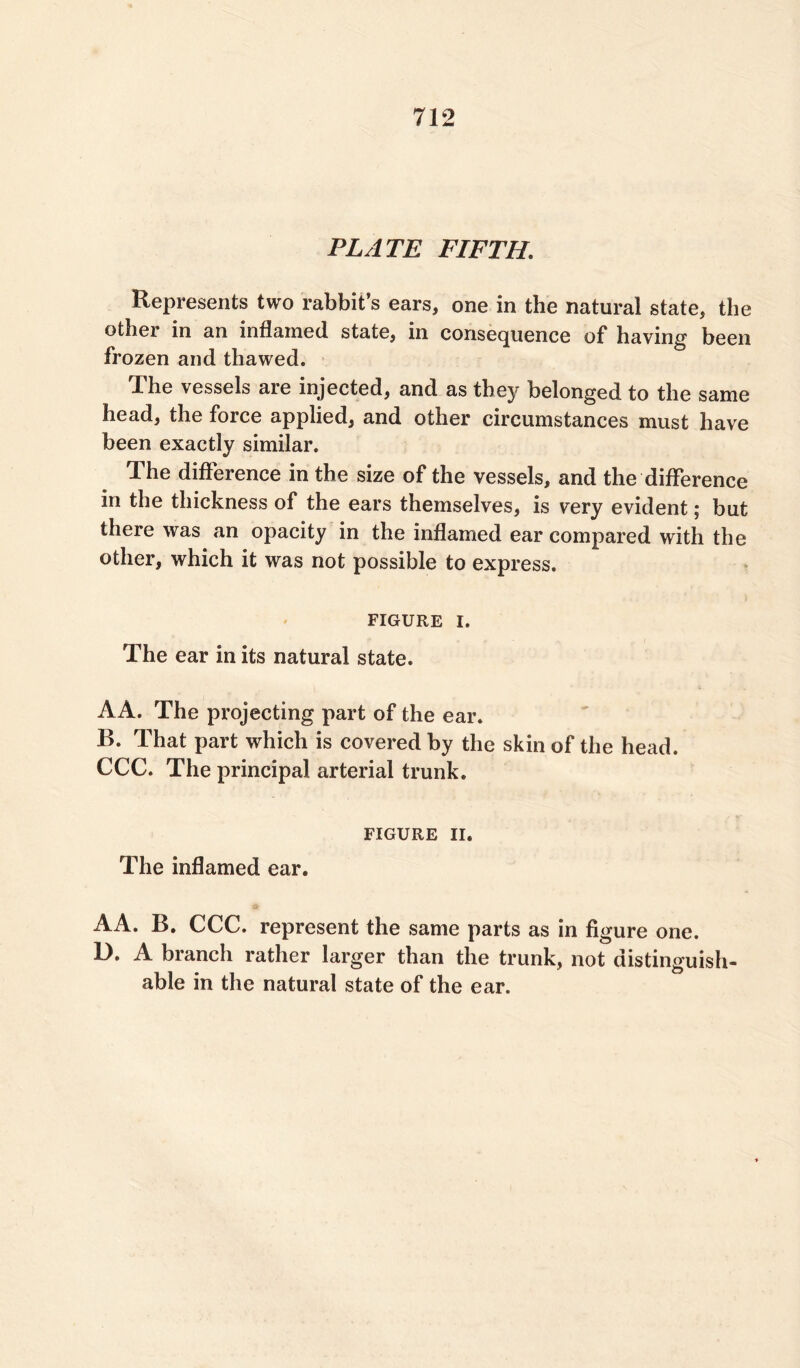 PLATE FIFTH. Represents two rabbit’s ears, one in the natural state, the other in an inflamed state, in consequence of having been frozen and thawed. ^ he vessels are injected, and as they belonged to the same head, the force applied, and other circumstances must have been exactly similar. The difference in the size of the vessels, and the difference in the thickness of the ears themselves, is very evident; but there was an opacity in the inflamed ear compared with the other, which it was not possible to express. FIGURE i. The ear in its natural state. A A. The projecting part of the ear. B. That part which is covered by the skin of the head. CCC. The principal arterial trunk. FIGURE II. The inflamed ear. AA. B. CCC. represent the same parts as in figure one. D. A branch rather larger than the trunk, not distinguish- able in the natural state of the ear.