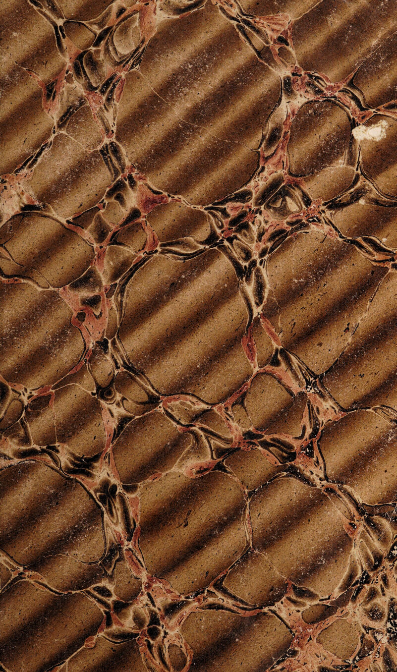 , ■ 'kt |^PI T: ’