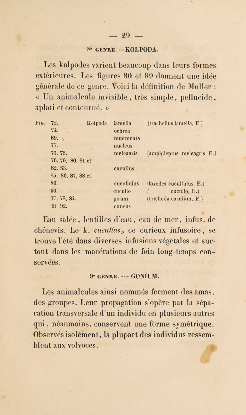 8* GENRE. —KOLPODA. Les kolpodes varient beaucoup dans leurs formes extérieures. Les figures 80 et 89 donnent une idée générale de ce genre. Voici la définition de Muller ; « Un animalcule invisible , très simple, pellucide, aplati et contourné. » 72. Rolpoda lamella (trachelius lamella, E.) 74. ochrea 89. V mucronala 77. V nucléus 73, 75. meleagris (amphileptus meleagris, E.) 76, 79, 80, 81 et 82. 83. cucullus 85, 86, 87, 88 et 89. cucullulus (loxodes cucullulus, E.) 90. cuculio ( cuculio, E.) 77, 78, 84. pirum (irichoda carnium, E.) 91,92. cuncus Eau salée, lentilles d’eau, eau de mer, infus. de chénevis. Le k. cnculim^ ce curieux infusoire, se trouve l’été dans diverses infusions végétales et sur¬ tout dans les macérations de foin long-temps con¬ servées. 9* GENRE. ™ GONÏUM. Les animalcules ainsi nommés forment des amas, des groupes. Leur propagation s’opère par la sépa¬ ration transversale d’un individu en plusieurs autres qui, néanmoins, conservent une forme symétrique. Observés isolément^ la plupart des individus ressem¬ blent aux volvoces.