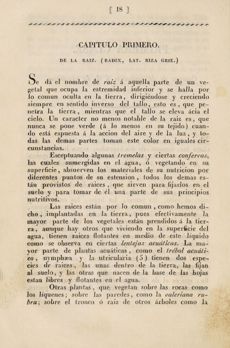 [ 18 ] S' CAPITULO PRIMERO. & DE LA RAIZ. (RADIX, LAT. RIZA GRIE.) c Oe da el nombre de raiz á aquella parte de un ve¬ getal que ocupa la estremidad inferior y se halla por lo común oculta en la tierra, dirigiéndose y creciendo siempre en sentido inverso del tallo, esto es, que pe¬ netra la tierra, mientras que el tallo se eleva acia el cielo. Un carácter no menos notable de la raiz es, que nunca se pone verde (á lo menos en su tejido) cuan¬ do está espuesta á la acción del aire y de la luz , y to¬ das las demas partes toman este color en iguales cir¬ cunstancias» Esceptuando algunas tremelas y ciertas confervas, las cuales sumergidas en el agua, ó vegetando en su superficie, absuerven los materiales de su nutrición por diferentes puntos de su estension, todos Jos demas es¬ tán provistos de raices , que sirven para fijarlos en el suelo y para tomar de él una parte de sus principios nutritivos. Las raices están por lo común , como hemos di¬ cho , implantadas en la tierra, pues efectivamente la mayor parte de los vegetales están prendidos á Ja tier¬ ra , aunque hay otros que viviendo en Ja superficie del agua, tienen raices flotantes en medio de este líquido como se observa en ciertas lentejas acuáticas. La ma¬ yor parte de plantas acuáticas , como el trébol acuáti¬ co , nymphaea y la utricularia (5) tienen dos espe¬ cies de raices , las unas dentro de la tierra, las fijan al suelo, y las otras que nacen de la base de Jas hojas están libres y flotantes en el agua. Otras plantas , que vegetan sobre Jas rocas como los liqúenes; sobre las paredes, como la valeriana ru¬ bra ; sobre el tronco ó raiz de otros árboles como la