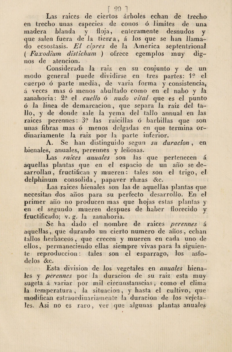 Las raíces de ciertos árboles echan de trecho en trecho unas especies de conos ó limites de una madera blanda y íloja, enteramente desnudos y que salen fuera de la tierra, á los que se han llama¬ do ecsosíasis. El ciprés de la America septentrional ( Faxodium distichum ) ofrece egemplos muy dig¬ nos de atención. Considerada la raíz en su conjunto y de un modo general puede dividirse en tres partes: 19 el cuerpo ó parte media, de varia forma y consistencia, á veces mas ó menos abultado como en el nabo y la zanahoria: ^9 el cuello ó nudo vital que es el punto ó la linea de demarcación, que separa la raíz del ta¬ llo, y de donde sale la yema del tallo annual en las raíces perennes: 39 las raicillas ó barbillas que son unas fibras mas ó menos delgadas en que termina or¬ dinariamente la raíz por la parte inferior. A. Se han distinguido según su duración , en bienales, anuales, perennes y leñosas. Las ralees anuales son 1 as que pertenecen á aquellas plantas que en el espacio de un año se de¬ sarrollan, fructifican y mueren: tales son el trigo, el delphinum consolida, papaver rhseas &c. Las raíces bienales son las de aquellas plantas que necesitan dos años para su perfecto desarrollo. En el primer ano no producen mas que hojas estas plantas y en el segundo mueren después de haber florecido y fructificado; v. g. la zanahoria. Se ha dado el nombre de raíces perennes á aquellas, que durando un cierto numero de años, echan tallos herbáceos, que crecen y mueren en cada uno de ellos, permaneciendo ellas siempre vivas para la siguien¬ te reproducción: tales son el esparrago, los asfó¬ delos &c. Esta division de los vegetales en anuales biena¬ les y perennes por la duración de su raiz esta muy sugeta á variar por mil circunstanscias • como el clima la temperatura, la situación, y hasta el cultivo, que modifican estraordinariamente la duración de ios veje ta¬ les. Asi no es raro, ver que algunas plantas anuales