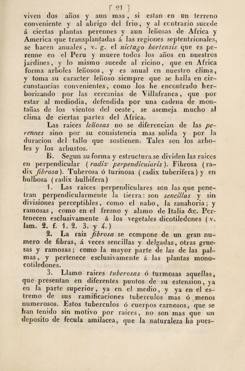 viven dos anos y aun mas , si esian en un terreno conveniente y al abrigo del frió, y al contrario sucede á ciertas plantas perennes y aun leñosas de Africa y America que transplantadas á las regiones septentrionales, se hacen anuales , v. g. el nictago hortcnsis que es pe¬ renne en el Peru y muere todos los arios en nuestros jardines, y lo mismo sucede al ricino, que en Africa forma arboles leñosos, y es anual en nuestro clima, y toma su carácter leñoso siempre que se halla en cir¬ cunstancias convenientes, como los he encontrado her¬ borizando por las cercanías de Villafranca, que por estar al mediodía, defendida por una cadena de mon¬ tañas de los vientos del oeste, se asemeja mucho al clima de ciertas partes del Africa. Las raíces leñosas no se diferencian de las pe¬ rennes sino por su consistencia mas solida y por la duración del tallo que sostienen. Tales son los arbo¬ les y los arbustos. B. Según su forma y estructura se dividen las raíces en perpendicular (radix perpendicular is). Fibrosa (ra¬ dix fibrosa). Tuberosa ó turinosa (radix tuberifera)y en bulbosa (radix bulbifera) 1. Las raíces perpendiculares son las que pene¬ tran perpendicularmente la tierra: son sencillas y sin divisiones perceptibles, como el nabo, la zanahoria; y ramosas , como en el fresno y alamo de Italia &c. Per¬ tenecen esclusivamente á los vegetales dicotiledones ( v, Jam. f. 1. 3. y 4.) % La raiz fibrosa se compone de un gran nu¬ mero de fibras, á veces sencillas y delgadas, otras grue¬ sas y ramosas; como la mayor parte de las de las pal¬ mas , y pertenece esclusivamente á las plantas mono- cotiledones. 3. Llamo raíces tuberosas ó turmosas aquellas, que presentan en diferentes puntos de su estension, ya en 1a parte superior, ya en el medio, y ya en el es¬ treñí o de sus ramificaciones tubérculos mas ó menos numerosos. Estos tubérculos ó cuerpos carnosos, que se han tenido sin motivo por raíces, no son mas que un deposito de fécula amilacea, que Ja naturaleza ha pues- 4