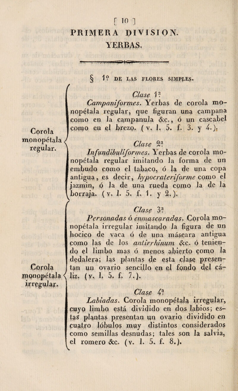 PRIMERA DIVISION. YERBAS. -=S5K* Corola mon opétala regular. § 1? DE LAS FLORES SIMPLES. Clase 1? Campaniformes. Yerbas de corola mo- nopétala regular, que figuran una campana como en la campanula &c., ó un cascabel como en el brezo. ( v. 1, 5. £. 3. y 4.). Clase S? Infundibulijorines. Yerbas de corola mo- nopétala regular imitando la forma de un embudo como el tabaco, ó la de una copa antigua, es decir, hypo crateriforme como el jazmin, ó la de una rueda como la de la ^borraja. (v. I. 5. f. 1. y %.). í Clase 3? Personadas ó enmascaradas. Corola mo¬ lí opélala irregular imitando la figura de un hocico de vaca ó de una máscara antigua como las de los antirrhinum &c. ó tenien¬ do el limbo mas ó menos abierto como la dedalera; las plantas de esta clase presen- Corola I tan un ovario sencillo en el fondo del cá- iponopétala \ liz. (v* 1. 5. f. 7.). irregular* Clase 4? Labiadas. Corola monopétaía irregular, cuyo limbo está dividido en dos labios; es¬ tas plantas presentan un ovario dividido en cuatro lóbulos muy distintos considerados como semillas desnudas; tales son la salvia, ^el romero &c. (v. 1. 5. f. 8.).