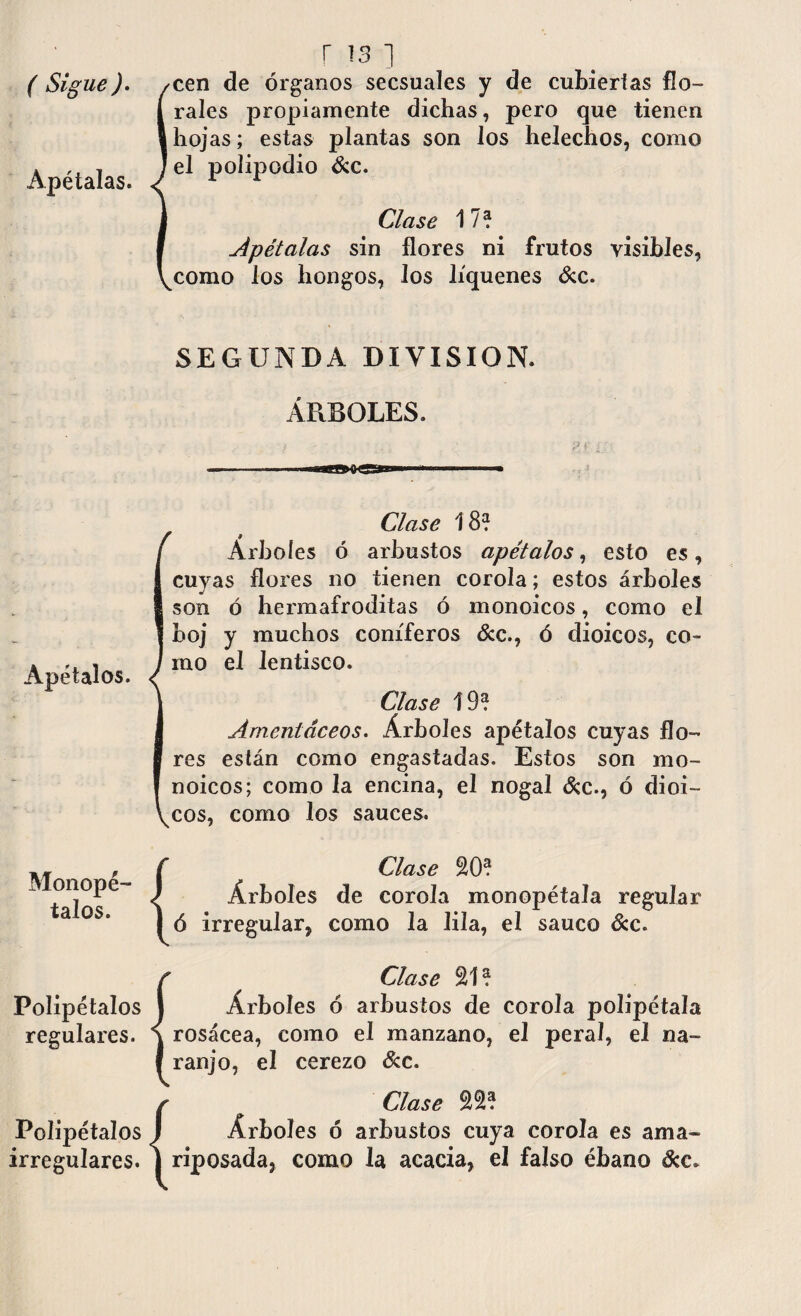 Apétalas. r is i rales propiamente dichas, pero que tienen hojas; estas plantas son los heléchos, como el polipodio See. Clase 17? Apétalas sin flores ni frutos visibles, como los hongos, Jos liqúenes &c. SEGUNDA DIVISION. ÁRBOLES. Apétalos. Clase 18? Árboles ó arbustos apétalos, esto es, cuyas flores no tienen corola; estos árboles son ó hermafroditas ó monoicos, como el boj y muchos coniferos &c., ó dioicos, co¬ mo el lentisco. Clase 19? Amentáceos. Árboles apétalos cuyas flo¬ res están como engastadas. Estos son mo¬ noicos; como la encina, el nogal &c., ó dioi¬ cos, como los sauces. Monopé- talos. Clase SO? Árboles de corola monopétala regular ó irregular, como la lila, el saúco Sec. {Clase SI ? Árboles ó arbustos de corola polipétala rosácea, como el manzano, el peral, el na¬ ranjo, el cerezo &c. {Clase SS? Árboles ó arbustos cuya corola es ama- riposada, como la acacia, el falso ébano See.