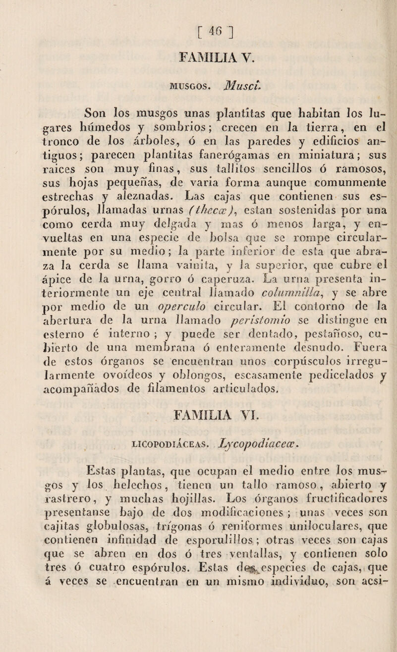 FAMILIA V. MUSGOS. Muse i1 Son los musgos unas plantiías que habitan los lu¬ gares húmedos y sombríos; crecen en Ja tierra, en el tronco de los árboles, ó en las paredes y edificios an¬ tiguos ; parecen plantiías fanerógamas en miniatura; sus raíces son muy finas, sus talliíos sencillos ó ramosos, sus hojas pequeñas, de varia forma aunque comunmente estrechas y aíeznadas. Las cajas que contienen sus es- pórulos, llamadas urnas (theccc)1 están sostenidas por una como cerda muy delgada y mas ó menos larga, y en¬ vueltas en una especie de bolsa que se rompe circular- mente por su medio; la parte inferior de esta que abra¬ za la cerda se llama vainita, y la superior, que cubre el ápice de la urna, gorro ó caperuza. La urna presenta in¬ teriormente un eje central llamado coliimnilla, y se abre por medio de un oper culo circular. El contorno de la abertura de la urna llamado peristomio se distingue en esterna é interno ; y puede ser dentado, pestañoso, cu¬ bierto de una membrana ó enteramente desnudo. Fuera de estos órganos se encuentran unos corpúsculos irregu¬ larmente ovoideos y oblongos, escasamente pedieelados y acompañados de filamentos articulados. FAMILIA VI. licopodiáceas. Lycopodiacecc. Estas plantas, que ocupan el medio entre los mus¬ gos y los heléchos, tienen un tallo ramoso, abierto y rastrero, y muchas bojiílas. Los órganos fructificadores presentanse bajo de dos modificaciones ; unas veces son cajitas globulosas, trígonas ó reniformes uniloculares, que contienen infinidad de esporulillos ; otras veces son cajas que se abren en dos ó tres ventallas, y contienen solo tres ó cuatro espórulos. Estas de^especies de cajas, que á veces se encuentran en un mismo individuo, son acsi-