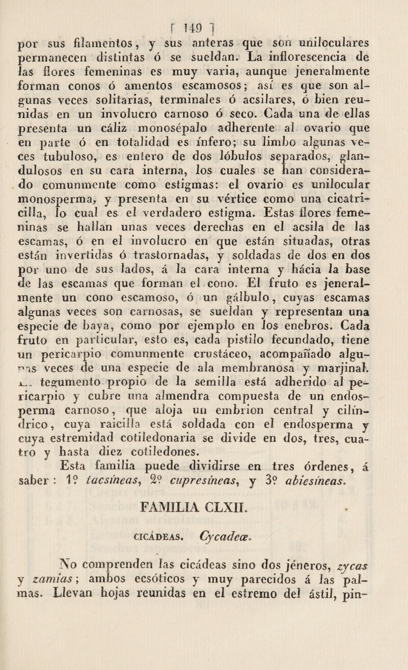 por sus filamentos, y sus anteras que son unilcculares permanecen distintas ó se sueldan. La inflorescencia de las flores femeninas es muy varia, aunque jeneralmente forman conos ó amentos escamosos; así es que son al¬ gunas veces solitarias, terminales ó acsilares, ó bien reu¬ nidas en un involucro carnoso ó seco. Cada una de ellas presenta un cáliz monosépalo adherente al ovario que en parte ó en totalidad es infero; su limbo algunas ve¬ ces tubuloso, es entero de dos lóbulos separados, glan- dulosos en su cara interna, los cuales se fian considera¬ do comunmente como estigmas: el ovario es unilocular monosperma, y presenta en su vértice como una cicatrí- cilla, lo cual es el verdadero estigma. Estas flores feme¬ ninas se hallan unas veces derechas en el acsila de las escamas, ó en el involucro en que están situadas, otras están invertidas ó trastornadas, y soldadas de dos en dos por uno de sus lados, á la cara interna y hacia la base de las escamas que forman el cono. El fruto es jeneral¬ mente un cono escamoso, ó un gálbulo, cuyas escamas algunas veces son carnosas, se sueldan y representan una especie de baya, como por ejemplo en los enebros. Cada fruto en particular, esto es, cada pistilo fecundado, tiene un pericarpio comunmente crustáceo, acompañado algu¬ nas veces de una especie de ala membranosa y marjinal. x... tegumento propio de la semilla está adherido al pe¬ ricarpio y cubre una almendra compuesta de un end es¬ perma carnoso, que aloja un embrión central y cilin¬ drico , cuya raicilla está soldada con el endosperma y cuya estremidad cotiledonaria se divide en dos, tres, cua¬ tro y basta diez cotiledones. Esta familia puede dividirse en tres órdenes, á saber : 1? iacsineas, &? cupresíneas, y 3? abiesíneas, FAMILIA CLXIL cicádeas. CycadecB. No comprenden las cicádeas sino dos jéneros, zyeas y zamias; ambos ecsóticos y muy parecidos á las pal¬ mas. Llevan hojas reunidas en el estremo del ástil, pin»