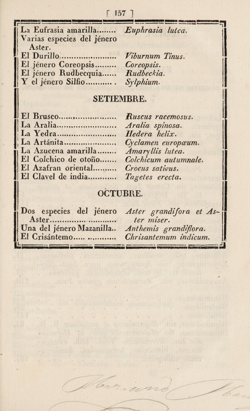 La Eufrasia amarilla. Euphrasia lútea, Varias especies del jénero Aster. El Durillo,.. Viburnum Tinus. El jénero Coreopsis. Coreopsis. El jénero Rudbecquia. Rudbeckia. Y el jénero Silíio. Sylphium. SETIEMBRE. El Brusco.. Ruscus racemosus. La Aralia.... Aralia spinosa. La Yedra. Hederá helix. La Artánita. Cyclamen europceum. La Azucena amarilla. Amaryllis lútea. El Colchico de otono. Colchicum autumnales El Azafrán oriental. Crocus sativus. El Clavel de india. .. Tagetes erecta. OCTUBRE. Dos especies del jénero Aster grandifora et As- ■ Aster.. ter miser. Una del jénero Mazanilla.. Anthemis grandiflora. El Crisántemo. Chrisantemum indicum. \Ü