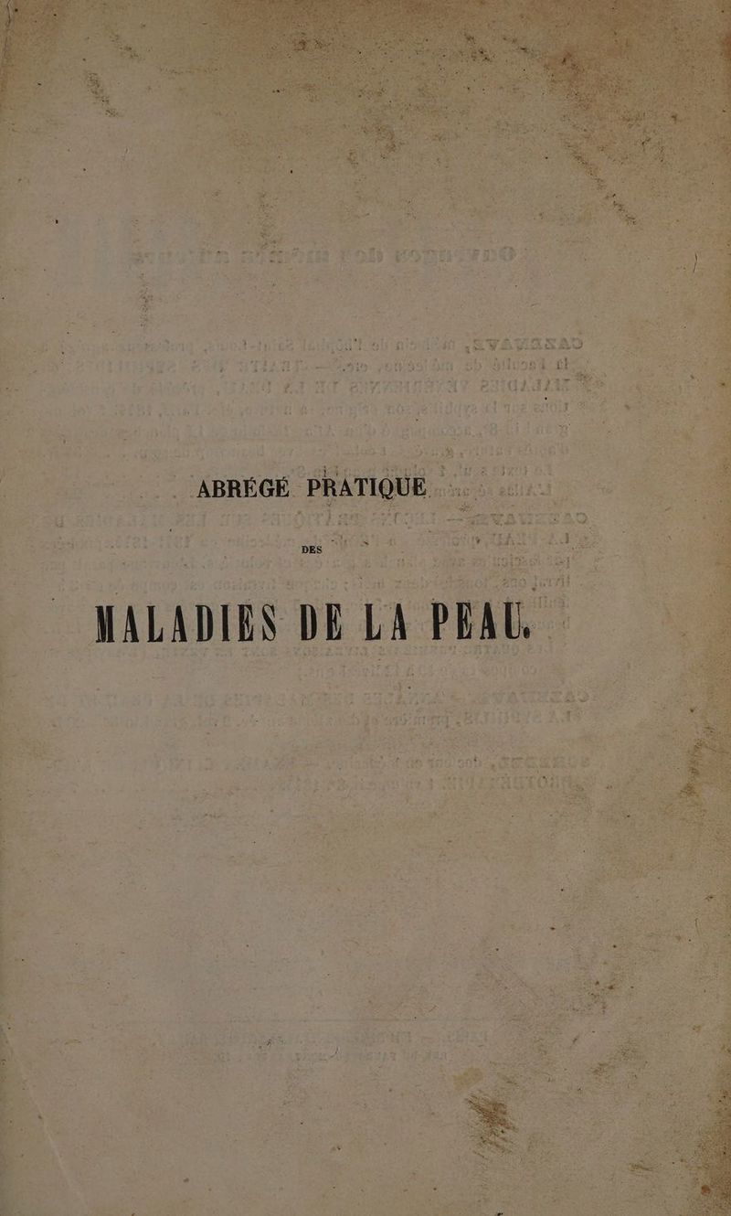 à ei dE fr «7 A Rte sos Ÿ ENS ES n 4“ = pa L * + Î 3. pa 7) x _PRAT wir « ? L F4 # “ DES f cé N $ RÉ ren a pe À ! , = \ : - le cl N . EE + k te ON: Fe * À : “ + ns * 7 L + 4 e t « , Vent 7 1 ' LS FE En US è ; Ps # L 2, tée > “JALAD