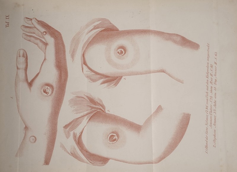 /JZ/rw</f/rs'Stfnr AW///r.r /ro////>r// /n//f/su AM/xh'Ay# fr/u/tu fn/r/ */rs////’/:r/////,v:\\ J'x j- ju/u tfr/r //< ('<?& Aj* Weys////// , /(V////’/^ 3. ? »/(////', f///t /?, '//ff/., /‘ff//?*/' //., / ' //J