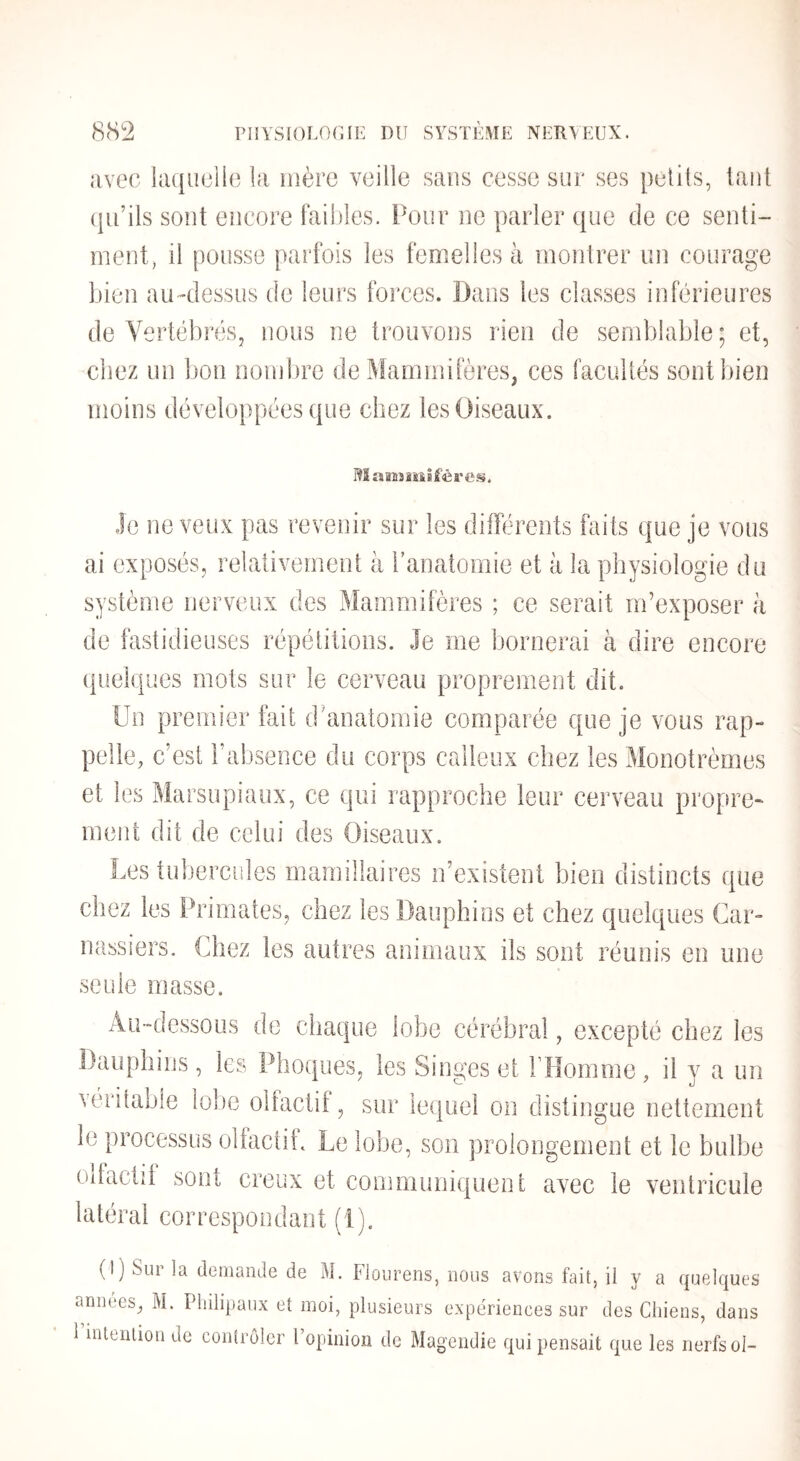 avec laquelle la inère veille sans cesse sur ses petits, tant (jii’ils sont encore faibles. Pour ne parler que de ce senti¬ ment, il pousse parfois les femelles à montrer un courage bien au-dessus de leurs forces. Dans les classes inférieures de Vertébrés, nous ne trouvons rien de semblable; et, chez un bon nombre de Mammifères, ces facultés sont bien moins développées que chez les Oiseaux. Mamatiiféi’cs. Je ne veux pas revenir sur les différents faits que je vous ai exposés, relativement à l’anatomie et à la physiologie du système nerveux des Mammifères ; ce serait m’exposer à de fastidieuses répétitions. Je me bornerai à dire encore (pielques mots sur le cerveau proprement dit. Un premier fait d'anatomie comparée que je vous rap¬ pelle, c’est l’absence du corps calleux chez les Monotrèmes et les Marsupiaux, ce qui rapproche leur cerveau propre¬ ment dit de celui des Oiseaux. Les tubercules mamillaires n’existent bien distincts que chez les Primates, chez les Dauphins et chez quelques Car¬ nassiers. Chez les autres animaux ils sont réunis en une seule masse. Au-dessous de chaque lobe cérébral, excepté chez les Dauphins, les Phoques, les Singes et l’Homme, il y a un \éritable lobe olfactif, sur lequel on distingue nettement le processus olfactif. Le lobe, son ])roiongement et le bulbe olfactif sont creux et communiquent avec le ventricule latéral correspondant (i). (I) Sur la demande de M. Flourens, nous avons fait, il y a quelques années, M. Pliilipaux et moi, plusieurs expériences sur des Chiens, dans 1 intention de contrôler l’opinion de Magendie qui pensait que les nerfs ol-