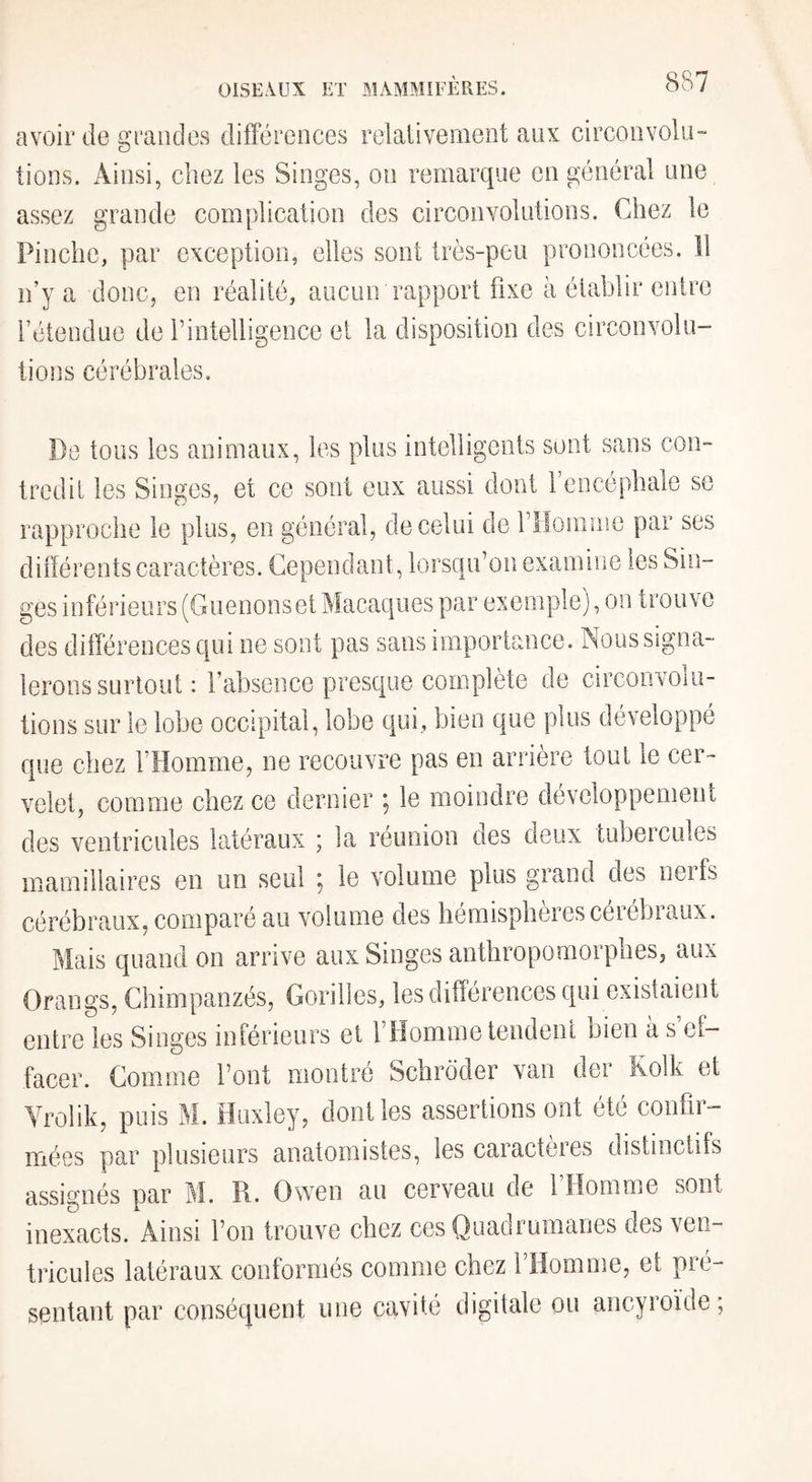 avoir de grandes différences relalivement aux circonvolu¬ tions. Ainsi, chez les Singes, on remarque en général une assez grande complication des circonvolutions. Chez le Pinche, par exception, elles sont très-peu prononcées. Il ii’y a donc, en réalité, aucun rapport fixe à établir eiilre l’étendue de f intelligence et la disposition des circonvolu- tioîis cérébrales. De tous les animaux, les plus intelligents sont sans con¬ tredit les Singes, et ce sont eux aussi dont l’encéphale se rapproche le plus, en général, de celui de riîommc par ses différents caractères. Cependant, lorsqu’on examine les Sin¬ ges inférieurs (Guenonset Macaques par exemple), on trouve des différences qui ne sont pas sans importance. Nous signa¬ lerons surtout : rabsence presque complète de circonvolu¬ tions sur le lobe occipital, lobe qui, bien que plus développé que chez l’Homme, ne recouvre pas en arrière tout le cer¬ velet, comme chez ce dernier ; le moindre développement des ventricules latéraux ; la réunion des deux tubeicules mamillaires en un seul ; le volume plus grand des nerfs cérébraux, comparé au volume des hémisphères céiebiaux. Mais quand on arrive aux Singes anthropomorphes, aux Orangs, Chimpanzés, Gorilles, les différences qui existaient entre les Singes inférieurs et l’Homme tendent bien à s’ef¬ facer. Comme font montré Schroder van der Kolk et Yrolik, puis M. Huxley, dont les assertions ont été confir¬ mées par plusieurs anatomistes, les caracteies distinctifs assignés par M. R. Owen au cerveau de l’Homme sont inexacts. Ainsi l’on trouve chez ces Quadrumanes des ven¬ tricules latéraux conformés comme chez l’Homme, et pré¬ sentant par conséquent une cavité digitale ou ancyroïde;