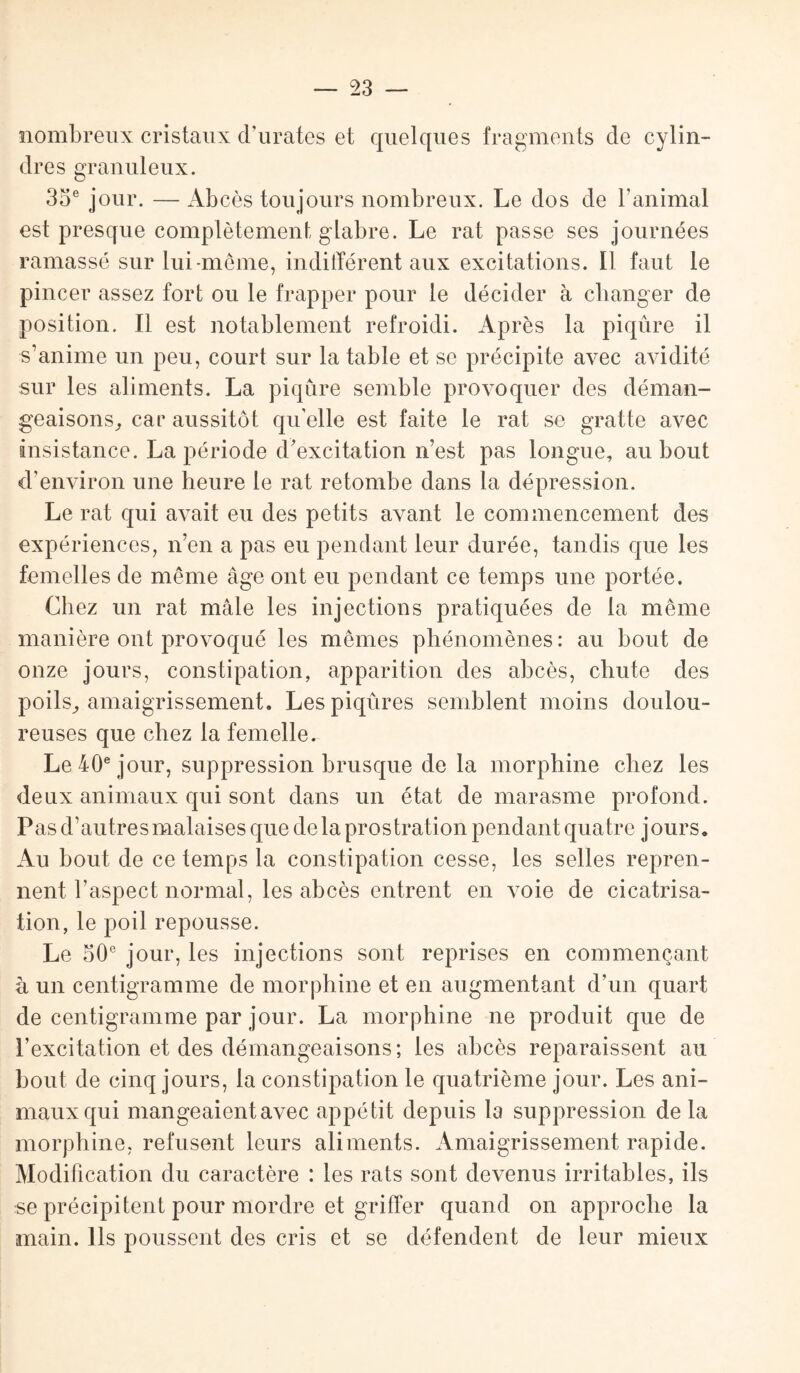 nombreux cristaux d’urates et quelques fragments de cylin¬ dres granuleux. 35e jour. — Abcès toujours nombreux. Le dos de l’animal est presque complètement glabre. Le rat passe ses journées ramassé sur lui-même, indifférent aux excitations. Il faut le pincer assez fort ou le frapper pour le décider à changer de position. Il est notablement refroidi. Après la piqûre il s’anime un peu, court sur la table et se précipite avec avidité sur les aliments. La piqûre semble provoquer des déman¬ geaisons, car aussitôt qu’elle est faite le rat se gratte avec insistance. La période d’excitation n’est pas longue, au bout d’environ une heure le rat retombe dans la dépression. Le rat qui avait eu des petits avant le commencement des expériences, n’en a pas eu pendant leur durée, tandis que les femelles de même âge ont eu pendant ce temps une portée. Chez un rat mâle les injections pratiquées de la même manière ont provoqué les mêmes phénomènes : au bout de onze jours, constipation, apparition des abcès, chute des poils, amaigrissement. Les piqûres semblent moins doulou¬ reuses que chez la femelle. Le 40e jour, suppression brusque de la morphine chez les deux animaux qui sont dans un état de marasme profond. Pas d’autres malaises que delà prostration pendant quatre jours. Au bout de ce temps la constipation cesse, les selles repren¬ nent l’aspect normal, les abcès entrent en voie de cicatrisa¬ tion, le poil repousse. Le 50e jour, les injections sont reprises en commençant à un centigramme de morphine et en augmentant d’un quart de centigramme par jour. La morphine ne produit que de l’excitation et des démangeaisons; les abcès reparaissent au bout de cinq jours, la constipation le quatrième jour. Les ani¬ maux qui mangeaient avec appétit depuis la suppression delà morphine, refusent leurs aliments. Amaigrissement rapide. Modification du caractère : les rats sont devenus irritables, ils se précipitent pour mordre et griffer quand on approche la main. Ils poussent des cris et se défendent de leur mieux