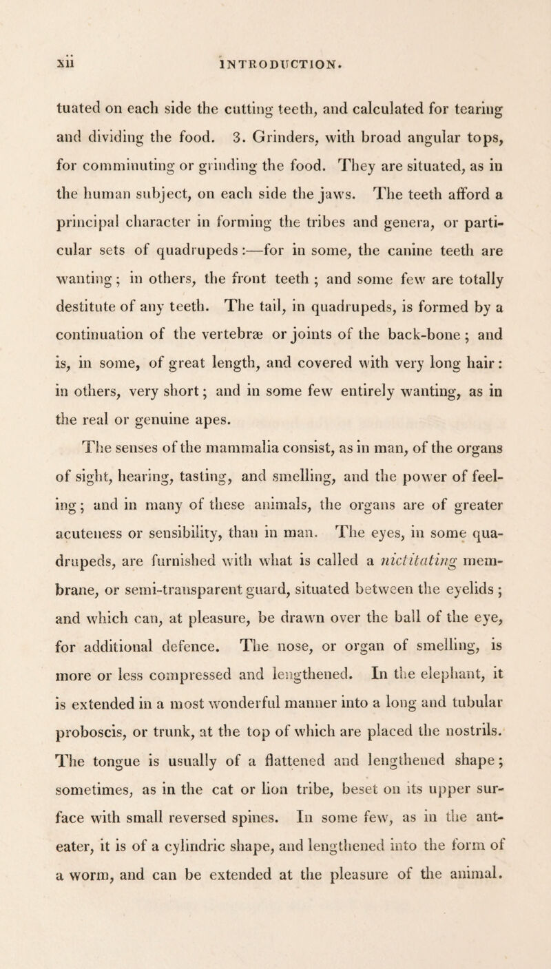 tuated on each side the cutting teeth, and calculated for tearing and dividing the food. 3. Grinders, with broad angular tops, for comminuting or grinding the food. They are situated, as in the human subject, on each side the jaws. The teeth afford a principal character in forming the tribes and genera, or parti¬ cular sets of quadrupeds:—for in some, the canine teeth are wanting; in others, the front teeth ; and some few are totally destitute of any teeth. The tail, in quadrupeds, is formed by a continuation of the vertebrae or joints of the back-bone; and is, in some, of great length, and covered with very long hair: in others, very short; and in some few entirely wanting, as in the real or genuine apes. The senses of the mammalia consist, as in man, of the organs of sight, hearing, tasting, and smelling, and the power of feel¬ ing ; and in many of these animals, the organs are of greater acuteness or sensibility, than in man. The eyes, in some qua¬ drupeds, are furnished with what is called a nictitating mem¬ brane, or semi-transparent guard, situated between the eyelids ; and which can, at pleasure, be drawn over the ball of the eye, for additional defence. The nose, or organ of smelling, is more or less compressed and lengthened. In the elephant, it is extended in a most wonderful manner into a long and tubular proboscis, or trunk, at the top of which are placed the nostrils. The tongue is usually of a flattened anti lengthened shape; sometimes, as in the cat or lion tribe, beset on its upper sur¬ face with small reversed spines. In some few, as in the ant- eater, it is of a cylindric shape, and lengthened into the form of a worm, and can be extended at the pleasure of the animal.