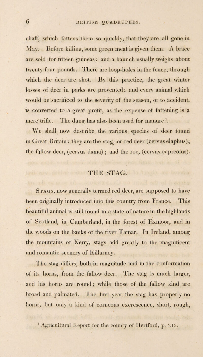 chuff, wiiich fattens them so quickly, that they are all gone in May. Before killing, some green meat is given them. A brace are sold for tifteen guineas ; and a haunch usually weighs about twenty-four pounds. There are loop-holes in the fence, through which the deer are shot. By this practice, the great winter losses of deer in parks are prevented; and every animal which would be sacrificed to the severity of the season, or to accident, is converted to a great profit, as the expense of fattening is a mere trifie. The dung has also been used for manure h We shall now describe the various- species of deer found in Great Britain ; they are the stag, or red deer (cervus elaphus); the fallow deer, (cervus dama); and the roe, (cervus capreolus). THE STAG. Stags, now generally termed red deer, are supposed to have been originally introduced into this country from France. This beautiful animal is still found in a state of nature in the highlands of Scotland, in Cumberland, in the forest of Exmoor, and in the woods on the banks of the river Tamar. In Ireland, among the mountains of Kerry, stags add greatly to the magnificent and romantic scenery of Killarney. The stag differs, both in magnitude and in the conformation of its horns, from the fallow' deer. Tire stag is much larger, and his horns are round; w hile those of the fallow kind are broad and pahnated. The first year the stag has properly no hoins, but only a kind of corneous excrescence, short, rough. ' Agricultural lleport for the county of Hertford, p. 213.