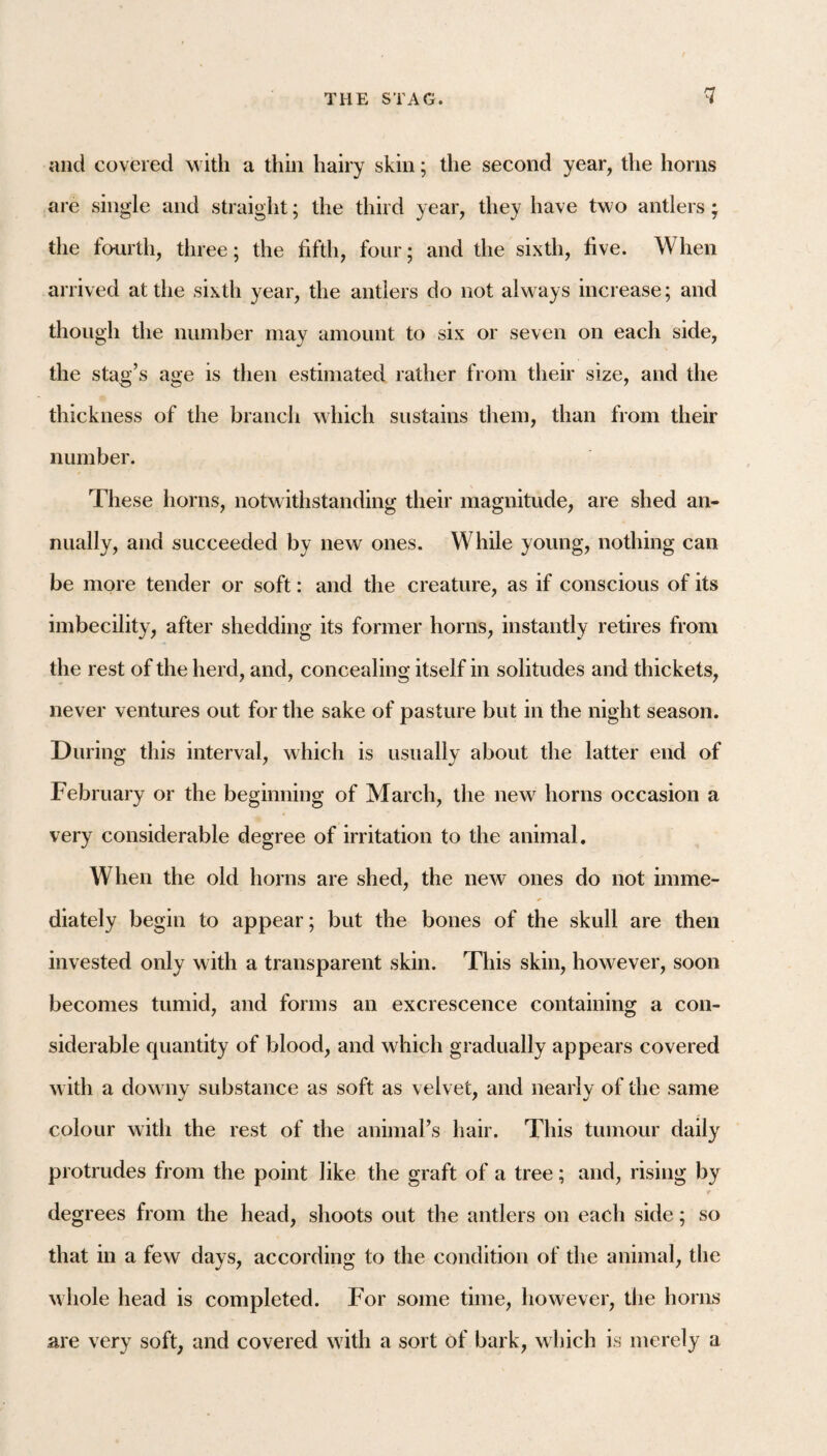 and covered with a thin hairy skin; the second year, the horns are single and straight; the third year, they have two antlers; the fourth, tliree; the fifth, four; and the sixth, five. When arrived at the sixth year, the antlers do not always increase; and though the number may amount to six or seven on each side, the stag’s age is then estimated rather from their size, and the thickness of the branch which sustains them, than from their number. These horns, notwithstanding their magnitude, are shed an¬ nually, and succeeded by new ones. While young, nothing can be more tender or soft: and the creature, as if conscious of its imbecility, after shedding its former horns, instantly retires from the rest of the herd, and, concealing itself in solitudes and thickets, never ventures out for the sake of pasture but in the night season. During this interval, which is usually about the latter end of February or the beginning of March, the new horns occasion a very considerable degree of irritation to the animal. When the old horns are shed, the new ones do not imme¬ diately begin to appear; but the bones of the skull are then invested only with a transparent skin. This skin, however, soon becomes tumid, and forms an excrescence containing a con¬ siderable quantity of blood, and which gradually appears covered with a downy substance as soft as velvet, and nearly of the same colour with the rest of the animal’s hair. This tumour daily protrudes from the point like the graft of a tree; and, rising by r degrees from the head, shoots out the antlers on each side; so that in a few days, according to the condition of the animal, the whole head is completed. For some time, however, the horns are very soft, and covered with a sort of bark, which is merely a