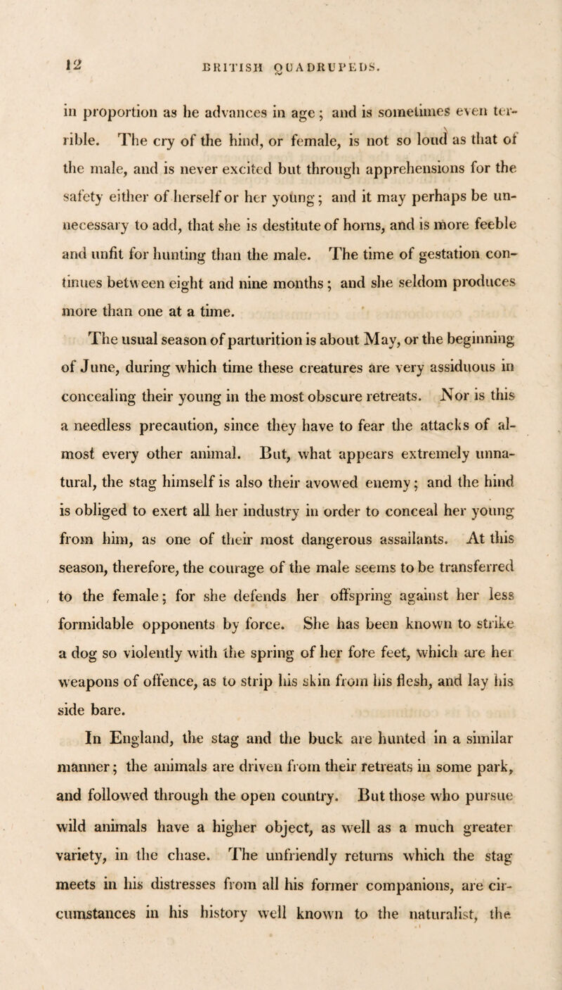 I fV ill proportion as he advances in age; and is sometimes even ter¬ rible* The cry of the hind, or female, is not so loud as that ol the male, and is never excited but through apprehensions for the safety either of herself or her young; and it may perhaps be un¬ necessary to add, that she is destitute of horns, and is naore feeble and unfit for hunting than the male. The time of gestation con¬ tinues between eight and nine months ; and she seldom produces more than one at a tune. The usual season of parturition is about May, or the beginning of Jline, during which time these creatures are very assiduous in concealing their young in the most obscure retreats. Nor is this a needless precaution, since they have to fear the attacks of al¬ most every other animal. But, what appears extremely unna¬ tural, the stag himself is also their avowed enemy; and the hind is obliged to exert all her industry in order to conceal her young from him, as one of their most dangerous assailants. At this season, therefore, the courage of the male seems to be transferred , to the female; for she defends her offspring against her less formidable opponents by force. She has been known to strike a dog so violently with the spring of her fore feet, which are her weapons of offence, as to strip his skin from his flesh, and lay his side bare. In England, the stag and the buck are hunted in a similar manner; the animals are driven from their retreats in some park, and followed through the open country. But those who pursue wild animals have a higher object, as well as a much greater variety, in the chase. The unfriendly returns which the stag meets in his distresses from all his former companions, are cir¬ cumstances in his history well known to the naturalist, the.