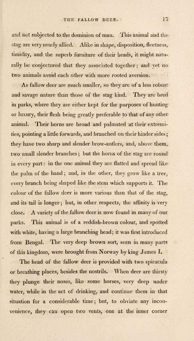 and not subjected to the dominion of man. This animal and the stag are very nearly allied. Alike in shape, disposition, fleetness, timidity, and the superb furniture of their heads, it might natu¬ rally be conjectured that they associated together; and yet no two animals avoid each other with more rooted aversion. As fallow deer are much smaller, so they are of a less robust and savage nature than those of the stag kind. They are bred in parks, where they are either kept for the purposes of hunting or luxury, their flesh being greatly preferable to that of any other animal. Their horns are broad and palmated at their extremi¬ ties, pointing a little forwards, and branched on their hinder sides; they have two sharp and slender brow-antlers, and, above them, two small slender branches; but the horns of the stag are round in every part: in the one animal they are flatted and spread like the palm of the hand; and, in the other, they grow like a tree, every branch being shaped like the stem which supports it. The colour of the fallow deer is more various than that of the stasr, and its tail is longer; but, in other respects, the affinity is very close. A variety of the fallow deer is now found in many of our parks. This animal is of a reddish-brown colour, and spotted with white, having a large branching head; it was first introduced from Bengal. The very deep brown sort, seen in many parts of this kingdom, were brought from Norway by king James I* The head of the fallow deer is provided with two spiracula or breathing places, besides the nostrils. When deer are thirsty they plunge their noses, like some horses, very deep under water, while in the act of drinking, and continue them in that situation for a considerable time; but, to obviate any incon¬ venience, they can open two vents, one at the inner corner