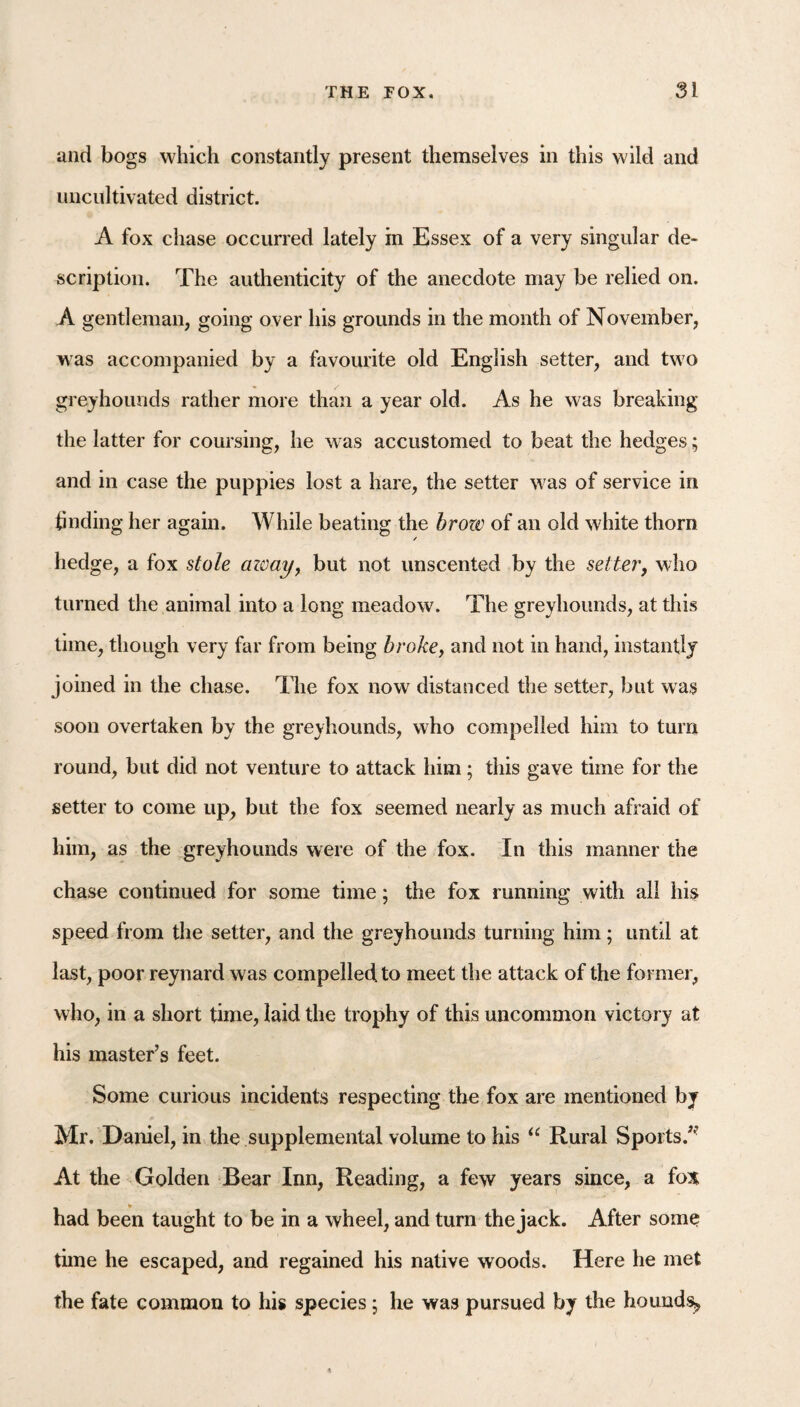 and bogs which constantly present themselves in this wild and uncultivated district. A fox chase occurred lately in Essex of a very singular de¬ scription. The authenticity of the anecdote may be relied on. A gentleman, going over his grounds in the month of November, was accompanied by a favourite old English setter, and two greyhounds rather more than a year old. As he was breaking the latter for coursing, he was accustomed to beat the hedges; and in case the puppies lost a hare, the setter w'as of service in hnding her again. While beating the brow of an old white thorn hedge, a fox stole away^ but not unscented by the setter, who turned the animal into a long meadow. The greyhounds, at this time, though very far from being broke, and not in hand, instantly joined in the chase. The fox now distanced the setter, but was soon overtaken by the greyhounds, who compelled him to turn round, but did not venture to attack him; this gave time for the setter to come up, but the fox seemed nearly as much afraid of him, as the greyhounds were of the fox. In this manner the chase continued for some time; the fox running with all his speed from the setter, and the greyhounds turning him; until at last, poor reynard was compelled to meet the attack of the former, who, in a short time, laid the trophy of this uncommon victory at his master’s feet. Some curious incidents respecting the fox are mentioned by Mr, Daniel, in the supplemental volume to his Rural Sports,’'^ At the Golden Bear Inn, Reading, a few years since, a fox had been taught to be in a wheel, and turn the jack. After some time he escaped, and regained his native woods. Here he met the fate common to his species; he was pursued by the hounds^