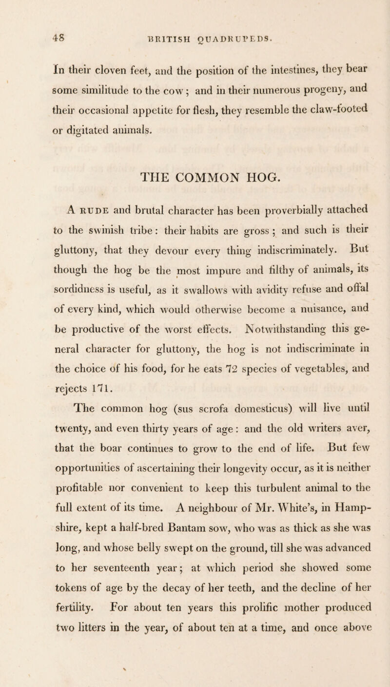 4S In their cloven feet, and the position of the intestines, they bear some similitude to the cow; and in their numerous progeny, and their occasional appetite for flesh, they resemble the claw-tooted or digitated animals. THE COMMON HOG. A RUDE and brutal character has been proverbially attached to the swinish tribe: their habits are gross ; and such is their gluttony, that they devour every thing indiscriminately. But though the hog be the most impure and filthy of animals, its sordidness is useful, as it swallows with avidity refuse and offal of every kind, which would otherwise become a nuisance, and be productive of the worst effects. Notwithstanding this ge¬ neral character for gluttony, the hog is not indiscriminate in the choice of his food, for he eats 72 species of vegetables, and rejects 171. The common hog (sus scrofa domesticus) will live until twenty, and even thirty years of age: and the old writers aver, that the boar continues to grow to the end of life. But few opportunities of ascertaining their longevity occur, as it is neither profitable nor convenient to keep this turbulent animal to the full extent of its time. A neighbour of Mr. White’s, in Hamp¬ shire, kept a half-bred Bantam sow, who was as thick as she was long, and whose belly swept on the ground, till she was advanced to her seventeenth year; at which period she showed some tokens of age by the decay of her teeth, and the decline of her fertility. Tor about ten years this prolific mother produced two litters in the year, of about ten at a time, and once above