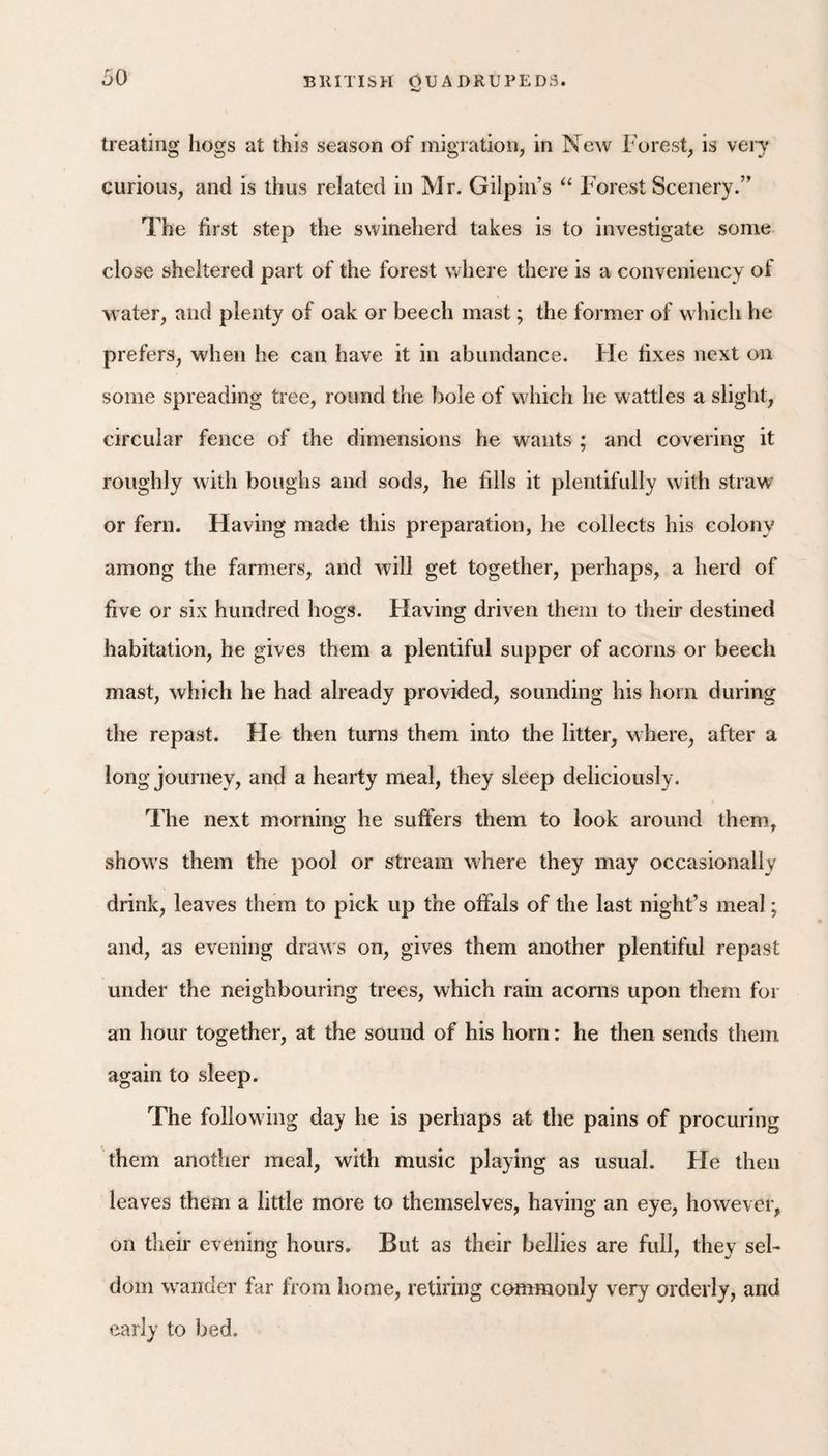 treating hogs at this season of migration, in New Forest, is very curious, and is thus related in Mr. Gilpin’s ‘‘ Forest Scenery.” The first step the swineherd takes is to investigate some close sheltered part of the forest where there is a conveniency of water, and plenty of oak or beech mast; the former of which he prefers, when he can have it in abundance. FTe fixes next on some spreading tree, round the bole of which he wattles a slight, circular fence of the dimensions he wants ; and covering it roughly with boughs and sods, he fills it plentifully with straw or fern. Having made this preparation, he collects his colony among the farmers, and will get together, perhaps, a herd of five or six hundred hogs. Having driven them to their destined habitation, he gives them a plentiful supper of acorns or beech mast, which he had already provided, sounding his horn during the repast. He then turns them into the litter, where, after a long journey, and a hearty meal, they sleep deliciously. The next morning he suffers them to look around them, shows them the pool or stream where they may occasionally drink, leaves them to pick up the offals of the last night’s meal; and, as evening draws on, gives them another plentiful repast under the neighbouring trees, which rain acorns upon them for an hour together, at the sound of his horn: he then sends them again to sleep. The following day he is perhaps at the pains of procuring them another meal, with music playing as usual. He then leaves them a little more to themselves, having an eye, however, on their evening hours. But as their bellies are full, they seF dom wander far from home, retiring commonly very orderly, and early to bed.