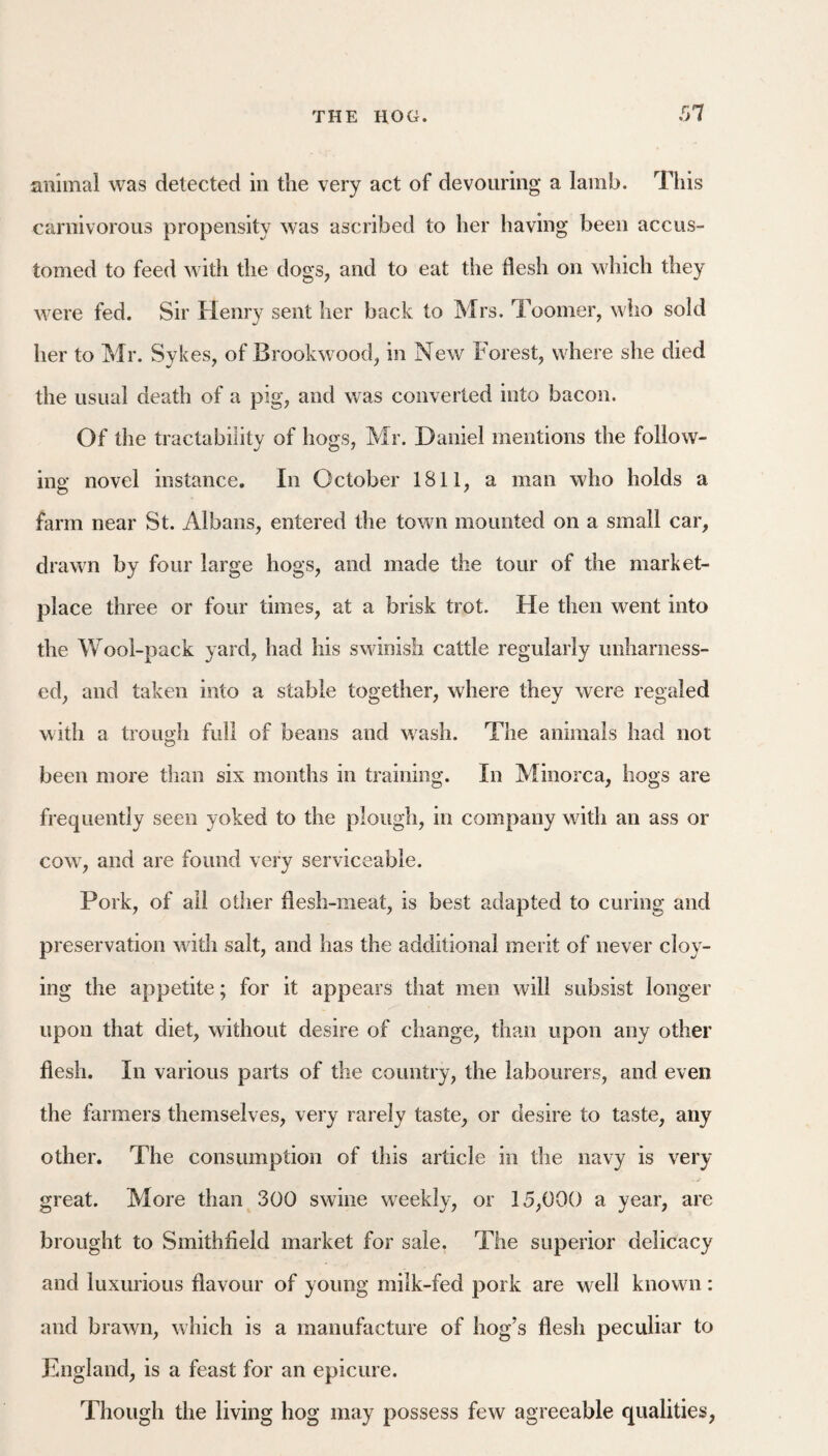 rn animal was detected in the very act of devouring a lamb. This carnivorous propensity was ascribed to her having been accus¬ tomed to feed with the dogs, and to eat the flesh on which they were fed. Sir Henry sent her back to Mrs. Toomer, who sold her to Mr. Sykes, of Brookwood, in New Forest, where she died the usual death of a pig, and was converted into bacon. Of the tractability of hogs, Mr. Daniel mentions the follow¬ ing novel instance. In October 1811, a man who holds a farm near St. Albans, entered the town mounted on a small car, drawn by four large hogs, and made the tour of the market¬ place three or four times, at a brisk trot. He then went into the Wool-pack yard, had his swinish cattle regularly unharness¬ ed, and taken into a stable together, where they were regaled with a trough full of beans and wash. The animals had not been more than six months in training. In Minorca, hogs are frequently seen yoked to the plough, in company with an ass or COW', and are found very serviceable. Pork, of all other flesh-meat, is best adapted to curing and preservation wdth salt, and has the additional merit of never cloy¬ ing the appetite; for it appears that men will subsist longer upon that diet, without desire of change, than upon any other flesh. In various parts of the country, the labourers, and even the farmers themselves, very rarely taste, or desire to taste, any other. The consumption of this article in the navy is very . ^ great. More than 300 swine weekly, or 15,000 a year, are brought to Smithfield market for sale. The superior delicacy and luxurious flavour of young milk-fed pork are well known: and brawn, which is a manufacture of hog's flesh peculiar to England, is a feast for an epicure. Though the living hog may possess few agreeable qualities,