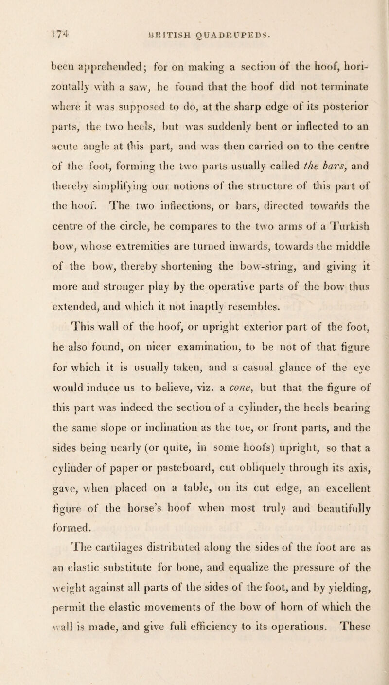 f been apprehended; for on making a section of the hoof, hori¬ zontally with a saw, he found that the hoof did not terminate where it was supposed to do, at the sharp edge of its posterior parts, the two heels, hut was suddenly bent or inflected to an acute angle at this part, and was then carried on to the centre of the foot, forming the two parts usually called the bars, and thereby simplifying our notions of the structure of this part of the hoof. The two inflections, or bars, directed towards the centre of the circle, he compares to the two arms of a Turkish bow, whose extremities are turned inwards, towards the middle of the bow, thereby shortening the bow-string, and giving it more and stronger play by the operative parts of the bow thus extended, and which it not inaptly resembles. This wall of the hoof, or upright exterior part of the foot, he also found, on nicer examination, to be not of that figure for which it is usually taken, and a casual glance of the eye would induce us to believe, viz. a cone, but that the figure of this part was indeed the section of a cylinder, the heels bearing the same slope or inclination as the toe, or front parts, and the sides being nearly (or quite, in some hoofs) upright, so that a cylinder of paper or pasteboard, cut obliquely through its axis, gave, when placed on a table, on its cut edge, an excellent figure of the horse’s hoof when most truly and beautifully formed. The cartilages distributed along the sides of the foot are as an elastic substitute for bone, and equalize the pressure of the weight against all parts of the sides of the foot, and by yielding, permit the elastic movements of the bow of horn of which the V, all is made, and give full efficiency to its operations. These
