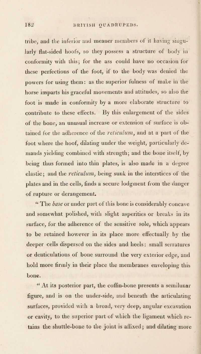 tribe, and the inferior and meaner members of it having singu¬ larly dat-sided hoofs, so they possess a structure of body in conformity with this; for the ass could have no occasion for these perfections of the foot, if to the body was denied the powers for using them: as the superior fulness of make in the horse imparts his graceful movements and attitudes, so also the foot is made in conformity by a more elaborate structure to contribute to these effects. By this enlargement of tlie sides of the bone, an unusual increase or extension of surface is ob¬ tained for the adherence of the reticulum^ and at a part of the foot where the hoof, dilating under the weight, particularly de¬ mands yielding combined wdth strength; and the bone itself, by being thus formed into thin plates, is also made in a degree elastic; and the reticulum, being sunk in the interstices of the plates and in the cells, finds a secure lodgment from the danger of rupture or derangement. The base or under part of this bone is considerably concave and somewhat polished, with slight asperities or breaks in its surface, for the adherence of the sensitive sole, which appears to be retained however in its place more effectually by the deeper cells dispersed on the sides and heels: small serratures or denticulatioiis of bone surround the very exterior edge, and hold more firmly in their place the membranes enveloping this bone. At its posterior part, the coffin-bone presents a semilunar figure, and is on the under-side, and beneath the articulating surfaces, provided with a broad, very deep, angular excavation or cavity, to the superior part of wdiich the ligament w'hich re¬ tains the shuttle-bone to the joint is affixed; and dilating more