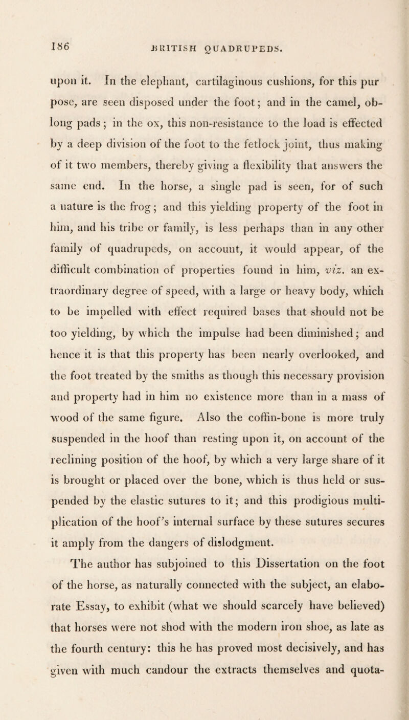 upon it. In the elephant, cartilaginous cushions, for this pur pose, are seen disposed under the foot; and in the camel, ob¬ long pads; in the ox, this non-resistance to the load is effected by a deep division of the foot to the fetlock joint, thus making of It two members, thereby giving a flexibility that answers the same end. In the horse, a single pad is seen, for of such a nature is the frog; and this yielding property of the foot in him, and his tribe or family, is less perhaps than in any other family of quadrupeds, on account, it would appear, of the difficult combination of properties found in him, viz. an ex¬ traordinary degree of speed, with a large or heavy body, which to be impelled with effect required bases that should not be too yielding, by which the impulse had been diminished; and hence it is that this property has been nearly overlooked, and the foot treated by the smiths as though this necessary provision and property had in him no existence more than in a mass of wood of the same figure. Also the coffin-bone is more truly suspended in the hoof than resting upon it, on account of the reclining position of the hoof, by which a very large share of it is brought or placed over the bone, which is thus held or sus¬ pended by the elastic sutures to it; and this prodigious multi- « plication of the hoof^s internal surface by these sutures secures it amply from the dangers of dislodgment. The author has subjoined to this Dissertation on the foot of the horse, as naturally connected with the subject, an elabo¬ rate Essay, to exhibit (what we should scarcely have believed) that horses were not shod with the modern iron shoe, as late as the fourth century: this he has proved most decisively, and has given with much candour the extracts themselves and quota-