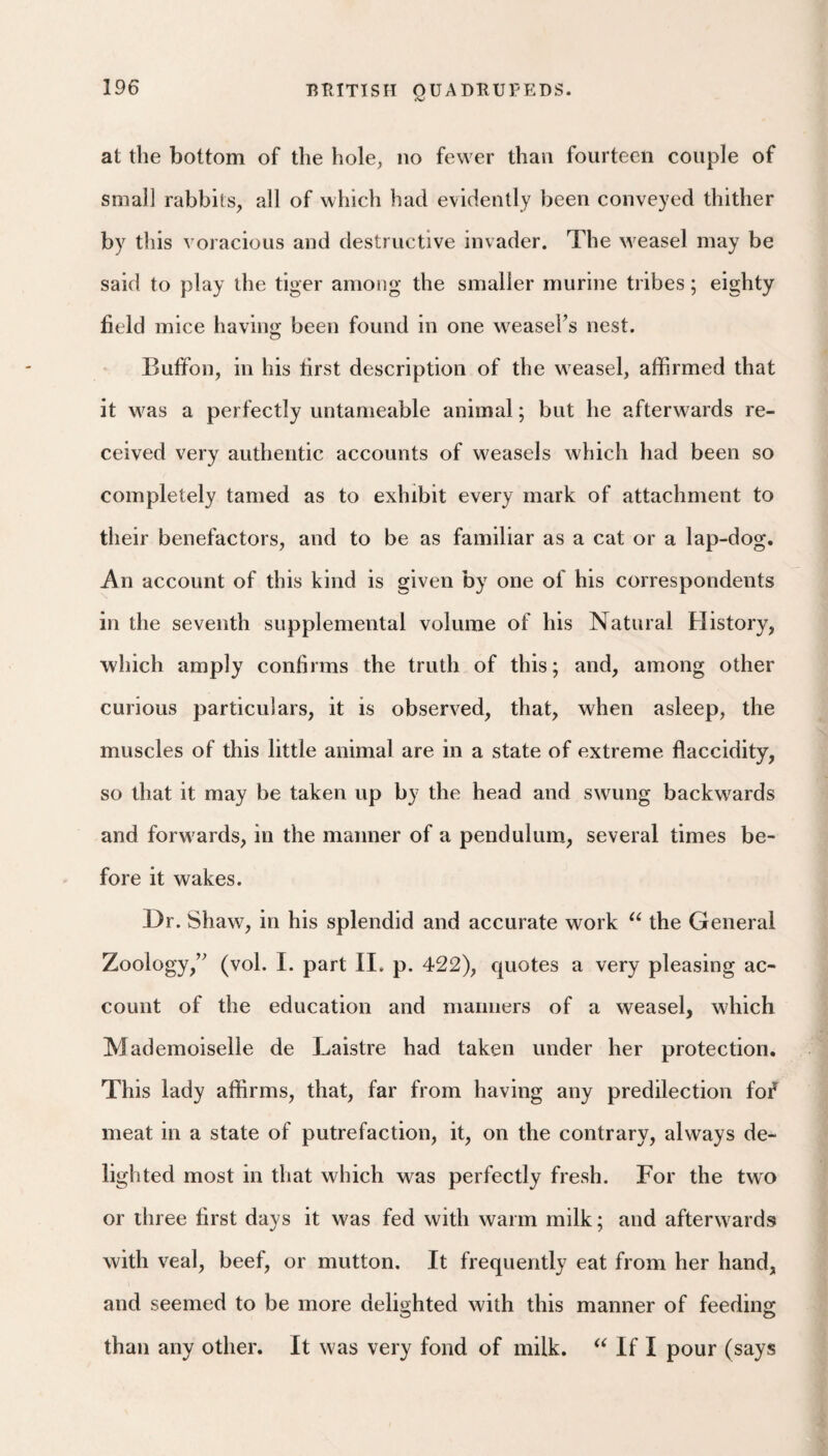 at the bottom of the hole, no fewer than fourteen couple of small rabbits, all of which had evidently been conveyed thither by this voracious and destructive invader. The weasel may be said to play the tiger among the smaller murine tribes; eighty field mice having been found in one weaseFs nest. Buffon, in his first description of the weasel, affirmed that it w^as a perfectly untameable animal; but he afterw^ards re¬ ceived very authentic accounts of weasels which had been so completely tamed as to exhibit every mark of attachment to their benefactors, and to be as familiar as a cat or a lap-dog. An account of this kind is given by one of his correspondents in the seventh supplemental volume of his Natural History, which amply confirms the truth of this; and, among other curious particulars, it is observed, that, when asleep, the muscles of this little animal are in a state of extreme flaccidity, so that it may be taken up by the head and swung backw^ards and forw'ards, in the manner of a pendulum, several times be¬ fore it wakes. Dr. Shaw, in his splendid and accurate work the General Zoology,’^ (vol. I. part II. p. 422), quotes a very pleasing ac¬ count of the education and manners of a weasel, which Mademoiselle de Laistre had taken under her protection. This lady affirms, that, far from having any predilection fof meat in a state of putrefaction, it, on the contrary, always de¬ lighted most in that which was perfectly fresh. For the two or three first days it was fed with warm milk; and afterw^ards with veal, beef, or mutton. It frequently eat from her hand, and seemed to be more delighted with this manner of feeding than any other. It was very fond of milk. If I pour (says