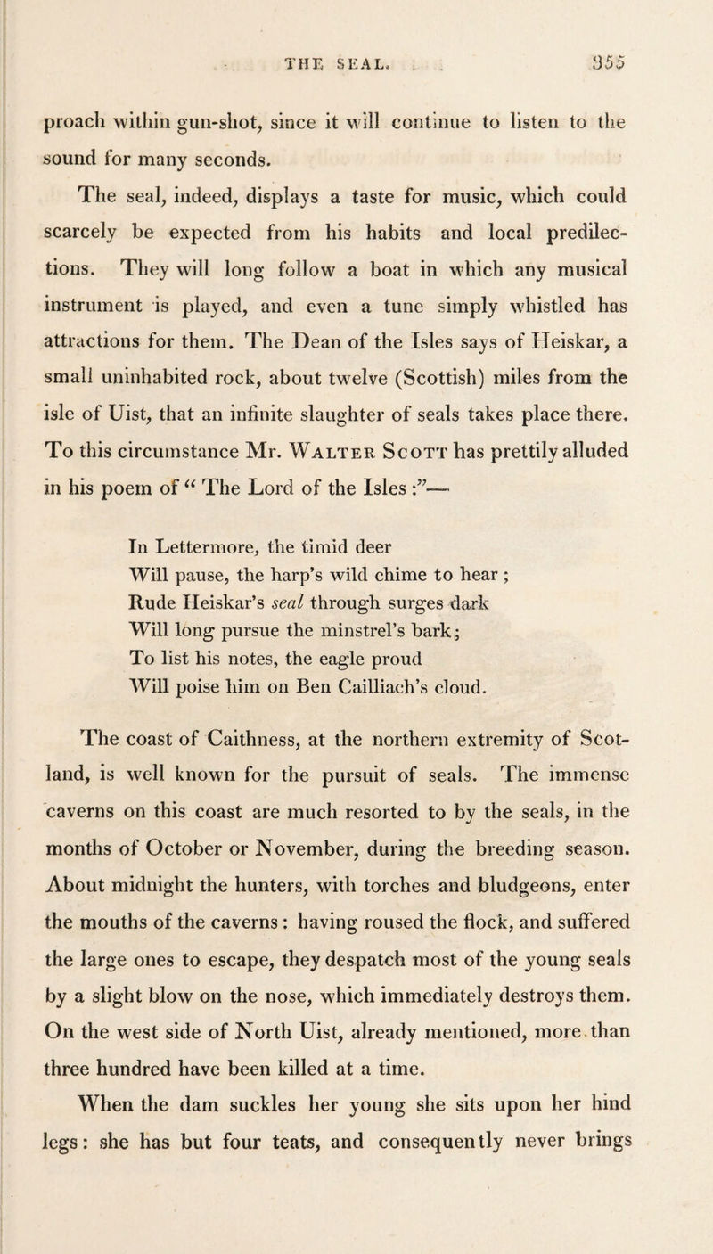 preach within gun-shot, since it will continue to listen to the sound for many seconds. The seal, indeed, displays a taste for music, which could scarcely be expected from his habits and local predilec¬ tions. They will long follow a boat in which any musical instrument is played, and even a tune simply whistled has attractions for them. The Dean of the Isles says of Heiskar, a small uninhabited rock, about twelve (Scottish) miles from the isle of Uist, that an infinite slaughter of seals takes place there. To this circumstance Mr. Walter Scott has prettily alluded in his poem of The Lord of the Isles — In Lettermore, the timid deer Will pause, the harp’s wild chime to hear ; Rude Heiskar’s seal through surges dark Will long pursue the minstrel’s bark ; To list his notes, the eagle proud Will poise him on Ben Cailliach’s cloud. The coast of Caithness, at the northern extremity of Scot¬ land, is well known for the pursuit of seals. The immense caverns on this coast are much resorted to by the seals, in the months of October or November, during the breeding season. About midnight the hunters, with torches and bludgeons, enter the mouths of the caverns: having roused the flock, and suffered the large ones to escape, they despatch most of the young seals by a slight blow on the nose, which immediately destroys them. On the west side of North Uist, already mentioned, more than three hundred have been killed at a time. When the dam suckles her young she sits upon her hind legs: she has but four teats, and consequently never brings