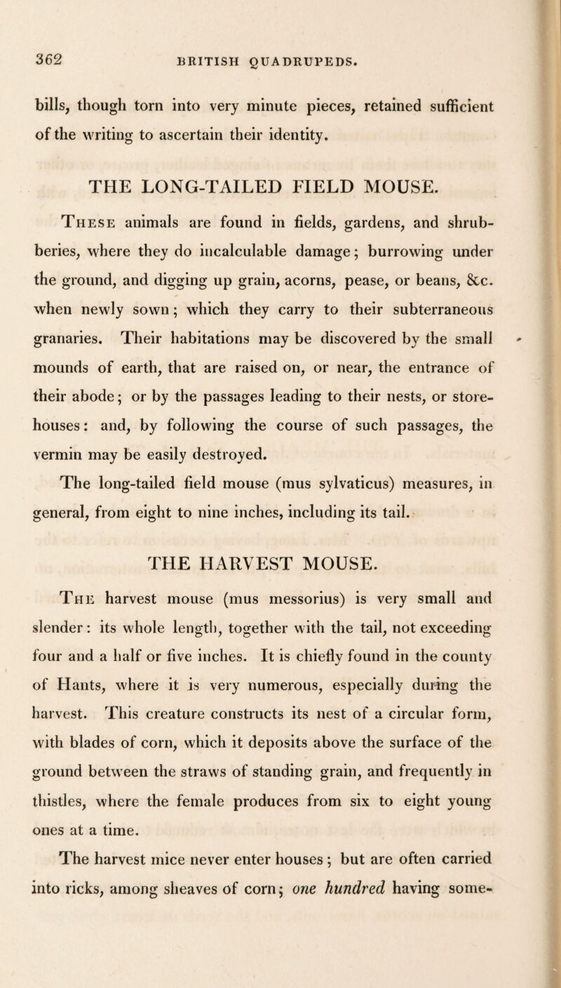 bills, though torn into very minute pieces, retained sufficient of the writing to ascertain their identity. THE LONG-TAILED FIELD MOUSE. Th ESE animals are found in fields, gardens, and shrub¬ beries, where they do incalculable damage; burrowing under the ground, and digging up grain, acorns, pease, or beans, 8cc. when newly sown; which they carry to their subterraneous granaries. Their habitations may be discovered by the small mounds of earth, that are raised on, or near, the entrance of their abode; or by the passages leading to their nests, or store¬ houses : and, by following the course of such passages, the vermin may be easily destroyed. The long-tailed field mouse (mus sylvaticus) measures, in general, from eight to nine inches, including its tail. THE HARVEST MOUSE. The harvest mouse (mus messorius) is very small and slender: its whole length, together with the tail, not exceeding four and a half or five inches. It is chiefly found in the county of Hants, where it is very numerous, especially during the harvest. This creature constructs its nest of a circular form, with blades of corn, which it deposits above the surface of the ground between the straws of standing grain, and frequently in thistles, where the female produces from six to eight young ones at a time. The harvest mice never enter houses ; but are often carried into ricks, among sheaves of cornj one hundred having some-