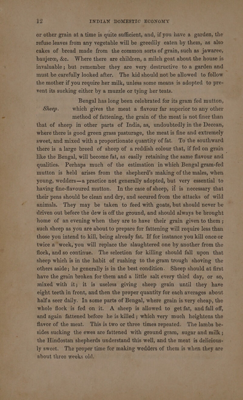 or other grain at a time is quite sufficient, and, if you have a garden, the refuse leaves from any vegetable will be greedily eaten by them, as also cakes of bread made from the common sorts of grain, such as jawaree, baujerce, &amp;c. Where there are children, a milch goat about the house is invaluable ; but remember they are very destructive to a garden and must be carefully looked after. The kid should not be allowed to follow the mother if you require her milk, unless some means is adopted to pre- vent its sucking either by a muzzle or tying her teats. Bengal has long been celebrated for its gram fed mutton, Sheep. which gives the meat a flavour far superior to any other method of fattening, the grain of the meat is not finer than that of sheep in other parts of India, as, undoubtedly in the Deccan, where there is good green grass pasturage, the meat is fine and extremely sweet, and mixed with a proportionate quantity of fat. To the southward there is a large breed of sheep of a reddish colour that, if fed on grain © like the Bengal, will become fat, as easily retaining the same flavour and qualities. Perhaps much of the estimation in which Bengal gram-fed mutton is held arises from the shepherd’s making of the males, when young, wedders—a practice not generally adopted, but very essential to having fine-flavoured mutton. In the case of sheep, if is necessary that their pens should be clean and dry, and secured from the attacks of wild animals. They may be taken to feed with goats, but should never be driven out before the dew is off the ground, and should always be brought home of an evening when they are to have their grain given to them ; such sheep as you are about to prepare for fattening will require less than those you intend to kill, being already fat. If for instance you kill once or twice a week, you will replace the slaughtered one by another from the flock, and so continue. The selection for killing should fall upon that sheep which is in the habit of rushing to the gram trough shoving the others aside; he generally is in the best condition. Sheep should at first have the grain broken for them and a little salt every third day, or so, mixed with it; it is useless giving sheep grain until they have eight teeth in front, and then the proper quantity for each averages about halfa seer daily. In some parts of Bengal, where grain is very cheap, the whole flock is fed on it. A sheep is allowed to get fat, and fall off, and again fattened before he is killed; which very much heightens the flavor of the meat. This is two or three times repeated. The lambs be- sides sucking the ewes are fattened with ground gram, sugar and milk; the Hindostan shepherds understand this well, and the meat is delicious- ly sweet. The proper time for making wedders of them is when they are about three weeks old.