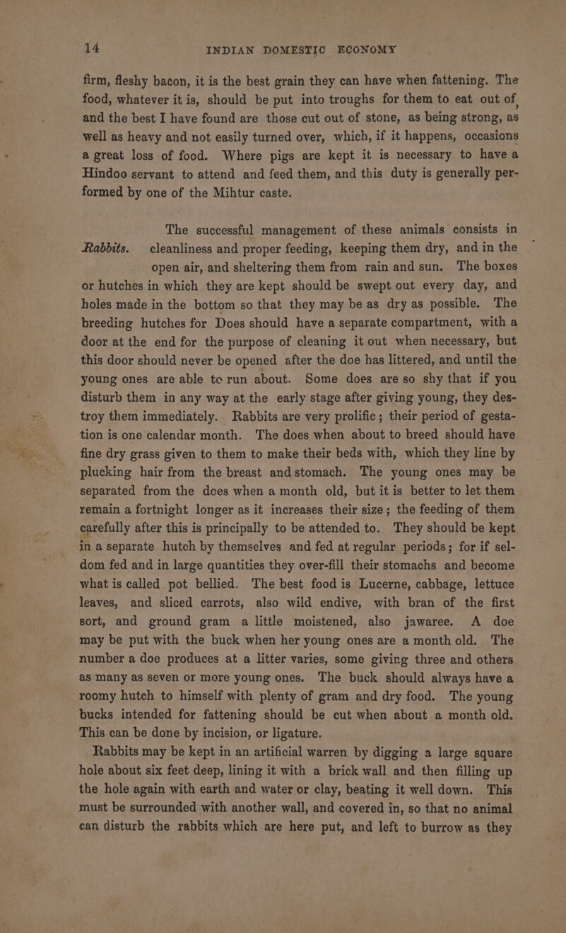 Path gee ne fae firm, fleshy bacon, it is the best grain they can have when fattening. The food, whatever it is, should be put into troughs for them to eat out of and the best I have found are those cut out of stone, as being strong, as well as heavy and not easily turned over, which, if it happens, occasions a great loss of food. Where pigs are kept it is necessary to have a Hindoo servant to attend and feed them, and this duty is generally per- formed by one of the Mihtur caste. The successful management of these animals consists in Rabbits. cleanliness and proper feeding, keeping them dry, and in the open air, and sheltering them from rain and sun. The boxes or hutches in which they are kept should be swept out every day, and holes made in the bottom so that they may be as dry as possible. The breeding hutches for Does should have a separate compartment, with a door at the end for the purpose of cleaning it out when necessary, but this door should never be opened after the doe has littered, and until the young ones are able to run about. Some does are so shy that if you disturb them in any way at the early stage after giving young, they des- troy them immediately. Rabbits are very prolific; their period of gesta- tion is one calendar month. The does when about to breed should have fine dry grass given to them to make their beds with, which they line by plucking hair from the breast andstomach. The young ones may be separated from the does when a month old, but it is better to let them remain a fortnight longer as it increases their size; the feeding of them carefully after this is principally to be attended to. They should be kept in a separate hutch by themselves and fed at regular periods; for if sel- dom fed and in large quantities they over-fill their stomachs and become what is called pot bellied. The best food is Lucerne, cabbage, lettuce leaves, and sliced carrots, also wild endive, with bran of the first sort, and ground gram a little moistened, also jawaree. A doe may be put with the buck when her young ones are a monthold. The number a doe produces at a litter varies, some giving three and others as many as seven or more young ones. The buck should always have a roomy hutch to himself with plenty of gram and dry food. The young bucks intended for fattening should be cut when about a month old. This can be done by incision, or ligature. Rabbits may be kept in an artificial warren by digging a large square hole about six feet deep, lining it with a brick wall and then filling up the hole again with earth and water or clay, beating it well down. This must be surrounded with another wall, and covered in, so that no animal can disturb the rabbits which are here put, and left to burrow as they
