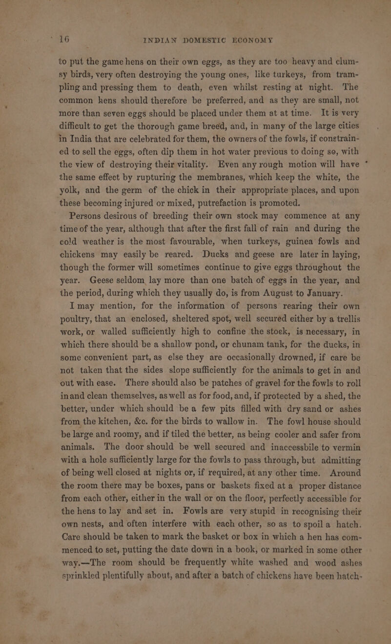 to put the game hens on their own eggs, as they are too heavy and clum- sy birds, very often destroying the young ones, like turkeys, from tram- pling and pressing them to death, even whilst resting at night. The common hens should therefore be preferred, and as they are small, not more than seven eggs should be placed under them at at time. It is very difficult to get the thorough game breed, and, in many of the large cities in India that are celebrated for them, the owners of the fowls, if constrain- ed to sell the eggs, often dip them in hot water previous to doing so, with the view of destroying their vitality. Even any rough motion will have ° the same effect by rupturing the membranes, which keep the white, the yolk, and the germ of the chick in their appropriate places, and upon these becoming injured or mixed, putrefaction is promoted. Persons desirous of breeding their own stock may commence at any time of the year, although that after the first fall of rain and during the cold weather is the most favourable, when turkeys, guinea fowls and chickens may easily be reared. Ducks and geese are later in laying, though the former will sometimes continue to give eggs throughout the year. Geese seldom lay more than one batch of eggs in the year, and the period, during which they usually do, is from August to January. I may mention, for the information of persons rearing their own poultry, that an enclosed, sheltered spot, well secured either by a trellis work, or walled sufficiently high to confine the stock, is necessary, in which there should be a shallow pond, or chunam tank, for the ducks, in some convenient part,as else they are occasionally drowned, if care be not taken that the sides slope sufficiently for the animals to get in and out with ease. There should also be patches of gravel for the fowls to roll inand clean themselves, as well as for food, and, if protected by a shed, the better, under which should be a few pits filled with dry sand or ashes from the kitchen, &amp;c. for the birds to wallow in. The fowl house should be large and roomy, and if tiled the better, as being cooler and safer from animals. The door should be well secured and inaccessbile to vermin with a hole sufficiently large for the fowls to pass through, but admitting of being well closed at nights or, if required, at any other time. Around the room there may be boxes, pans or baskets fixed at a proper distance from each other, either in the wall or on the floor, perfectly accessible for the hens to lay and set in. Fowls are very stupid in recognising their own nests, and often interfere with each other, so as to spoil a hatch. Care should be taken to mark the basket or box in which a hen has com- menced to set, putting the date down in a book, or marked in some other way.—The room should be frequently white washed and wood ashes sprinkled plentifully about, and after a batch of chickens have been hatch-