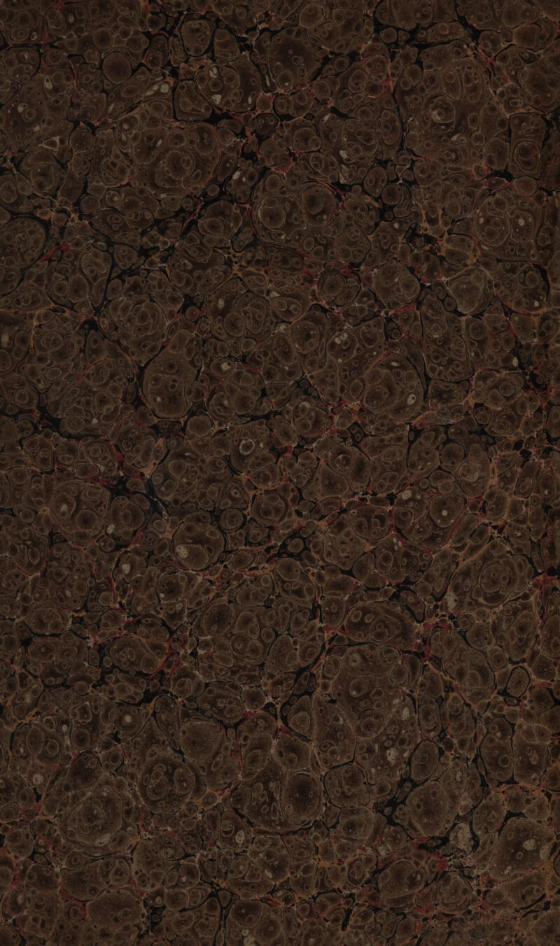 Ere Seas p= g VOY 7 33 bin Np wn ni . Nee Ye . ; . Art ‘ ee i: PT es ‘o Km