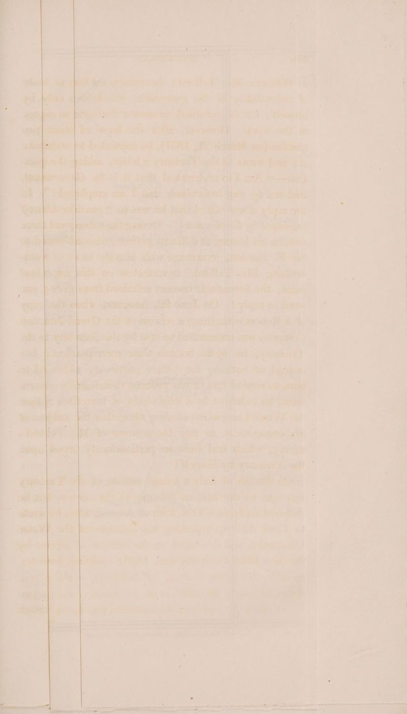 x : El ; i << 7 ; - ; — ae. at ae iS > = a ne gh Sr ed Seq: — —? ae - 7 7 ‘7 er ee, a “ ‘ ¥ . i eden ide 4 gral! oF he vaste MF 7 . , 4 ates} beet has's ysl it 1 anf i od aera tu } tape: ied oa bi pr et vin spy mews sear iting ps ie aj 7, nats oe ae is seesvem, wii: ce’ bebet ds fi dis ; aia ih Ss je ves ae Pihins: 0 iat yen: 1% eke PPE: Aagrw> inet Si ay « er %, i ot RL i} e “f | | Meg mri oat cunalope @ a mew! Oe ein apy. a oe wr ——