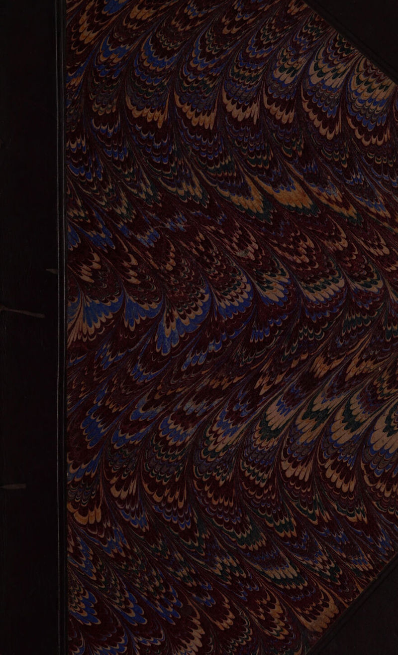 epee \ y : ae eo ee SOS x S VA bg + fhe ha: . A.