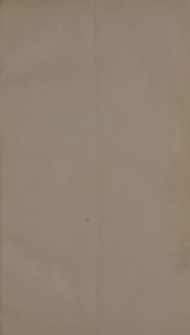 . Bu. i . ; . . oe “ 7 i dh * o = om