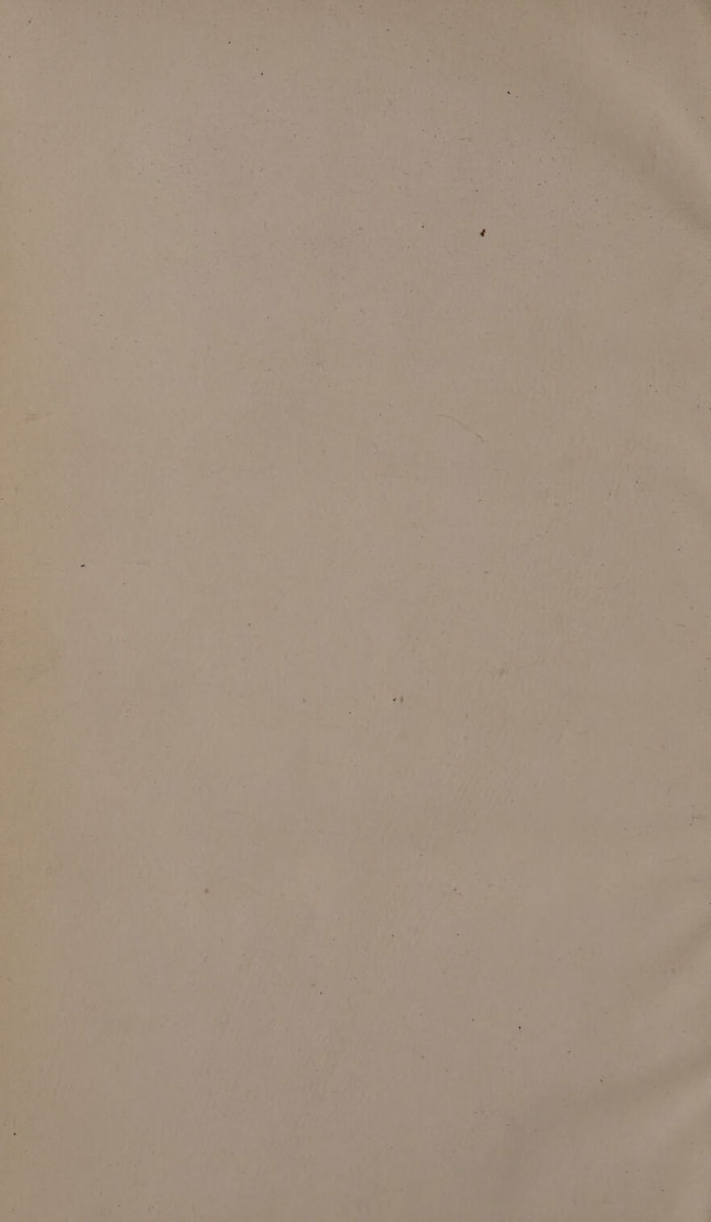 ns > M hip om ‘A 4 * ata ve .