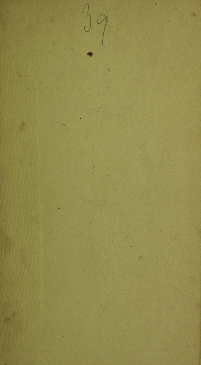 if It- '■' . ■ ■^