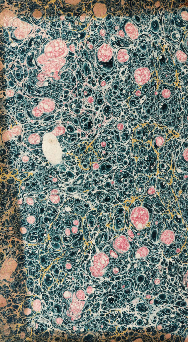 No text description is available for this image