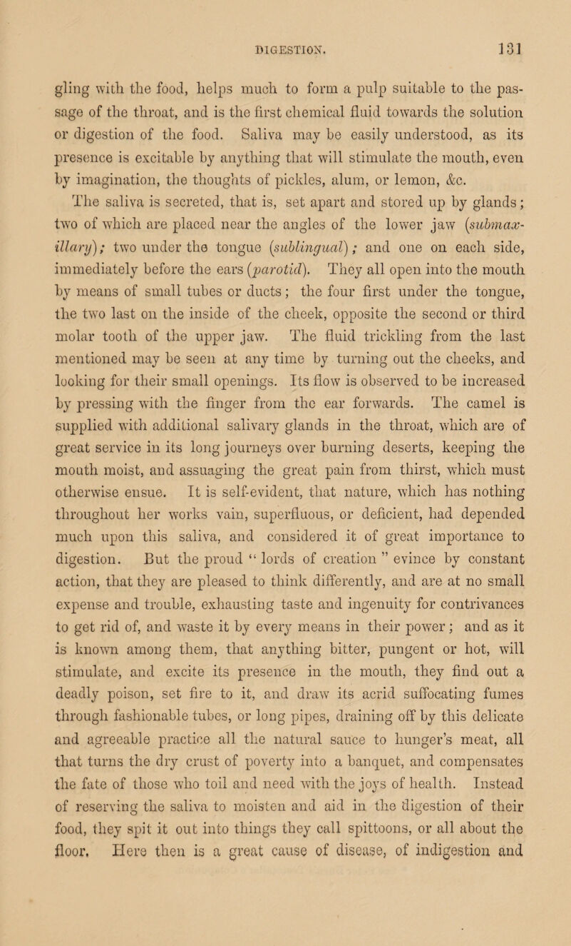 gling with the food, helps much to form a pulp suitable to the pas¬ sage of the throat, and is the first chemical fluid towards the solution or digestion of the food. Saliva may he easily understood, as its presence is excitable by anything that will stimulate the mouth, even by imagination, the thoughts of pickles, alum, or lemon, &c. The saliva is secreted, that is, set apart and stored up by glands; two of which are placed near the angles of the lower jaw (submax- Mary); two under the tongue (sublingual); and one on each side, immediately before the ears (parotid). They all open into the mouth by means of small tubes or ducts; the four first under the tongue, the two last on the inside of the cheek, opposite the second or third molar tooth of the upper jaw. The fluid trickling from the last mentioned may be seen at any time by turning out the cheeks, and looking for their small openings. Its flow is observed to be increased by pressing with the finger from the ear forwards. The camel is supplied with additional salivary glands in the throat, which are of great service in its long journeys over burning deserts, keeping the mouth moist, and assuaging the great pain from thirst, which must otherwise ensue. It is self-evident, that nature, which has nothing throughout her works vain, superfluous, or deficient, had depended much upon this saliva, and considered it of great importance to digestion. But the proud “ lords of creation ” evince by constant action, that they are pleased to think differently, and are at no small expense and trouble, exhausting taste and ingenuity for contrivances to get rid of, and waste it by every means in their power; and as it is known among them, that anything bitter, pungent or hot, will stimulate, and excite its presence in the mouth, they find out a deadly poison, set fire to it, and draw its acrid suffocating fumes through fashionable tubes, or long pipes, draining off by this delicate and agreeable practice all the natural sauce to hunger’s meat, all that turns the dry crust of poverty into a banquet, and compensates the fate of those who toil and need with the joys of health. Instead of reserving the saliva to moisten and aid in the digestion of their food, they spit it out into things they call spittoons, or all about the floor, Here then is a great cause of disease, of indigestion and