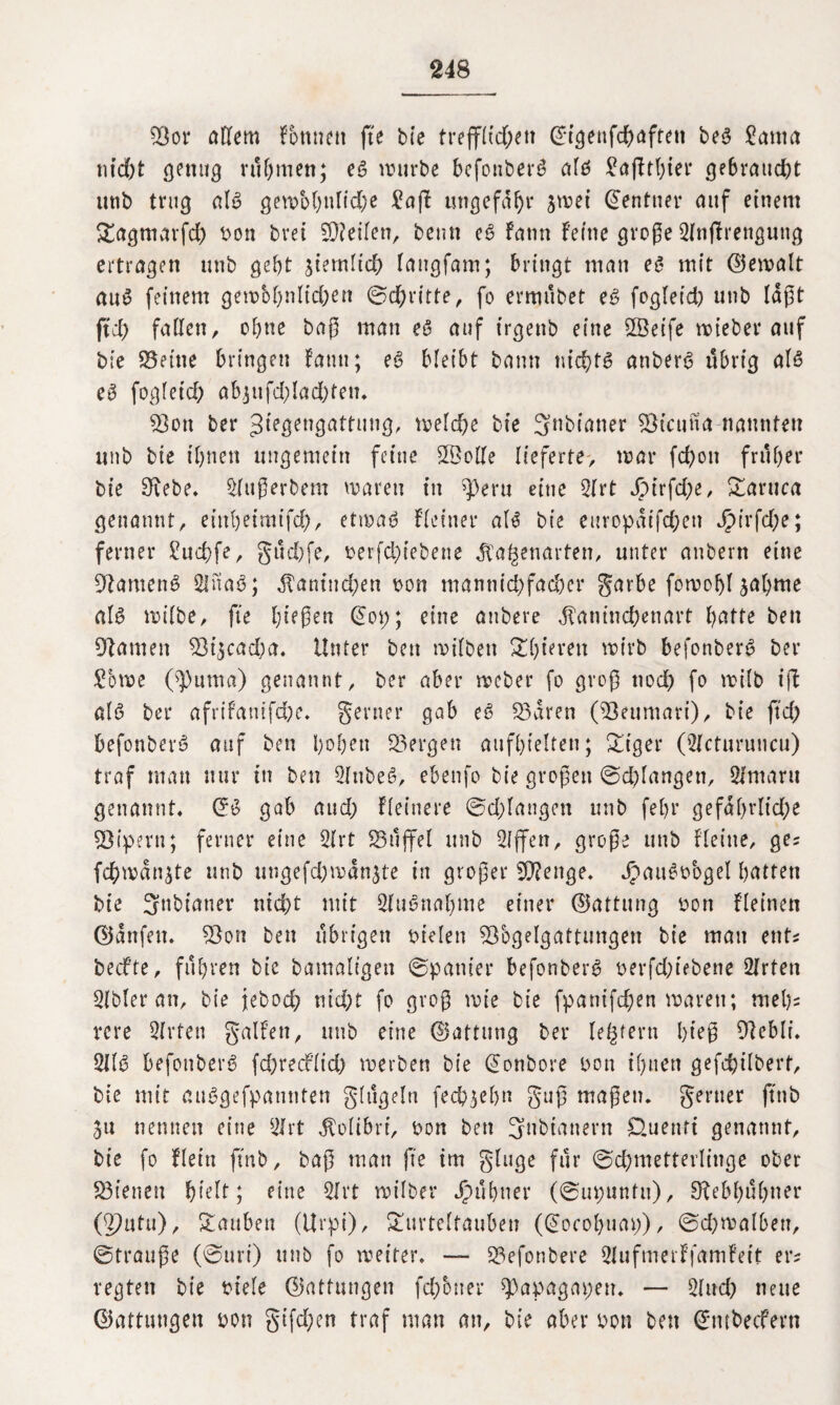 Sot* allem fonnett fte bte trejfltd)ett @igenfd)afteu bes Santa nicht genug rühmen; eS mürbe befonberS als Safltbter gebraucht uttb trug al£ gembhttlid)e Saft ungefähr jmet Zentner auf einem Tagmarfd) bon brei teilen, beutt eS fattn feine große 2lnffrenguttg ertragen unb gebt betulich langfam; bringt man eS mit ©emalt auS feinem gembhnlid)en ©chn'tte, fo ermübet eS fogleid) unb lagt fid) fallen, ohne baß man eS auf trgenb eine SSeife mieber auf bie Seine bringen fatm; eS bleibt bann nichts anberS übrig als eS fogleid) abjufd)!ad)ten. Sou ber ^iegengattung, melche bie 3nbianer Stcutta nannten unb bie t'bnen ungemein feine ©olle lieferte, mar fd)ott früher bie Sebe. Slußerbem marett tu ^)eru eine 2lrt JMrfd;e, Taruca genannt, einbeimifd), etmaS fleiner als bie europaifd;en Jpirfd;e; ferner Sud)fe, güd)fe, betriebene Jla^enarten, unter anbern eine Samens SlitaS; jTaniud)en bon mannid)fad)er garbe fomobl ja()me als milbe, fte hießen @op; eine attbere ^aninchenart hatte ben Samen Stjcadm. Unter bett milbett Thteren mirb befonberS ber Sbme @uma) genannt, ber aber meber fo groß ttod) fo milb iff als ber afrifantfd)e. genier gab eS Saren (Seumari), bie ftd) befonberS auf ben l)ol)ett Sergen aufhielten; Tiger (Slcturuncu) traf man nur in ben 2litbeS, ebenfo bie großen ©drangen, Slmartt genannt. GfS gab and) ffeinere ©ddangett unb fehr gefahrlid;e Sipern; ferner eine 2lrt Süffel unb Sljfen, große unb flehte, ge? fchmanjte unb ungefd;man3te in großer S?enge. jpauSbbgel hatten bie 3ttbiauer nid)t mit SluSnahme einer (Gattung bon fleinen ©anfett. Sou bett übrigen fielen Sbgelgattungen bie man ent* bed’te, fuhren bie bamaligen ©panier befonberS berfd)iebene 2lrten 2lbler an, bie jebod) nid)t fo groß mie bie fpanifd)en marett; mel)= vere Wirten galfen, unb eine (Gattung ber ledern hieß Sebli. 2llS befonberS fd)recf(id) merben bie @onbore bon ihnen gefepilbert, bie mit auSgefpaunten glügeln fedp^ebn guß maßen, geruer ftttb 31t nennen eine 2Irt Kolibri, bon ben 3nbianern Cluenfi genannt, bie fo flein jtnb, baß man fte im ginge für ©d)metterlinge ober St’enen hielt; eine 2lrt milber Jpühner (©upuntu), Sebhühner (2?utu), Stauben (Urpi), Turteltauben (@ocohuap), ©d)malbett, ©trauße (©uri) unb fo meiter. —- Sefonbere 2lufmerffamfeit er? regten bie biele (Gattungen fd/otter ^apagapen. — 2lud) neue ©attutigen bon gifd;en traf man au, bie aber bon ben Gnubeifern