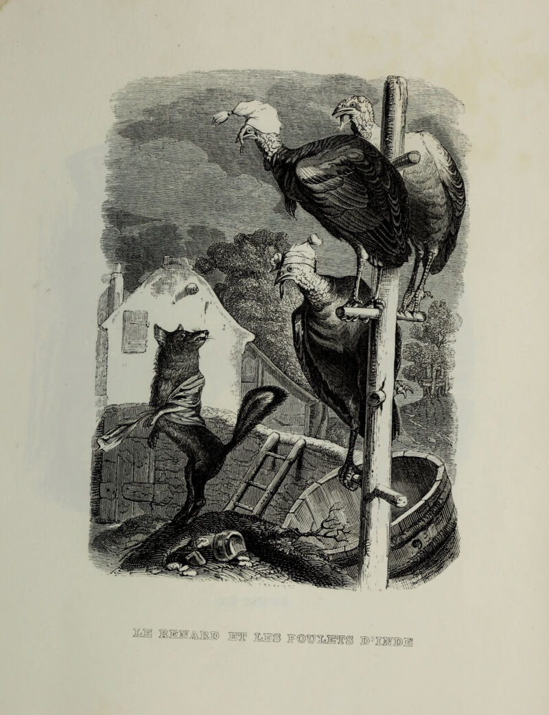 lEHSf/MD ^ an© iF©w2,mTB