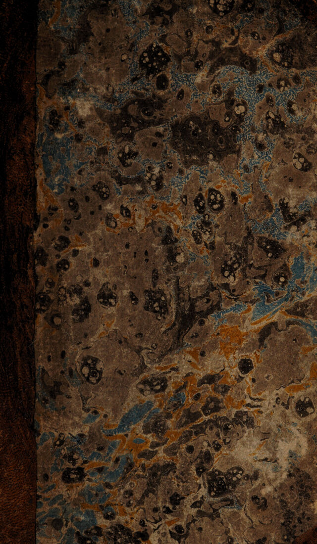 No text description is available for this image