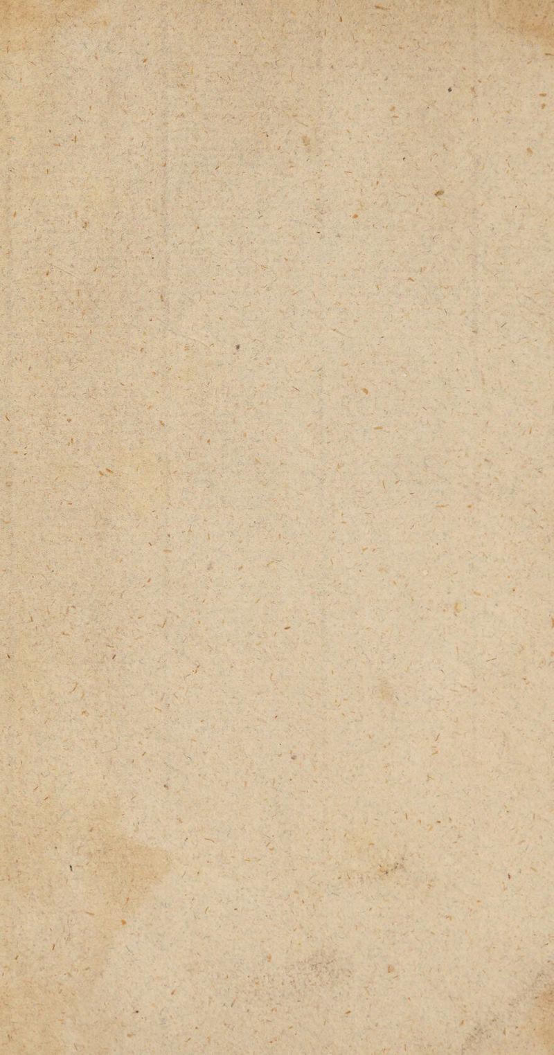 44 J nichts zu sehen. Fühlen, und nur fühlen lernen** ist die einzige Aufgabe der Sinne in der Geburts¬ hülfe; und wer da aufhören müfste, Geburtshelfer zu seyn, wenn er zufällig blind würde , dem sollte man billig jetzt schon das Handwerk legen, so lange er noch sehend ist. Geburtshelfer, welche mit den Augen alles suchen und machen wollen , kommen mir ■vor wie junge, halbjährige Kinder, welche auch alles sehen, nach allem Gesehenen die Hände emsig aus¬ strecken, und doch unter lomal nur xmal richtig 4» greifen. — Übrigens fand icli’s in dieser Entbindungs¬ anstalt sehr reinlich, luftig und ganz so, dafs hieij w ohl eine bessere Schule stehen könnte. Auch zweifle ich keinesweges daran, dafs es nicht über kurz oder lang damit anders werden sollte. Der Herr Dr. K o t h e, zweiter Geburtshelfer an der Charite, welcher die Güte hatte, mich auf dieser Station zu begleiten, ist ein feiner, gewandter, liebenswürdiger junger Mann, offen für alles Wahre und Gute, sehr wifsbegierig, und jetzt, was mir sehr lieb ist, auf einer Bildungs- Reise nach Wien u. s. w. begriffen. Auf diesem Manne stehen alle meine Hoffnungen, und möge des¬ halb der Himmel ihn auf seiner Reise begleiten, und ihm nachher soviel Glück und Wirkungssphäre schenken, als iclfs ihm gewifs von ganzer Seele wünsche. — Ton der Entbindungsanstalt begleitete mich Herr Dr. IGo the in die venerische Station. Ich fand es auch hier sehr reinlich und in der besten Ordnung. Man w endet auch hier j etzt in der Regel den II ahne m a n n » > »