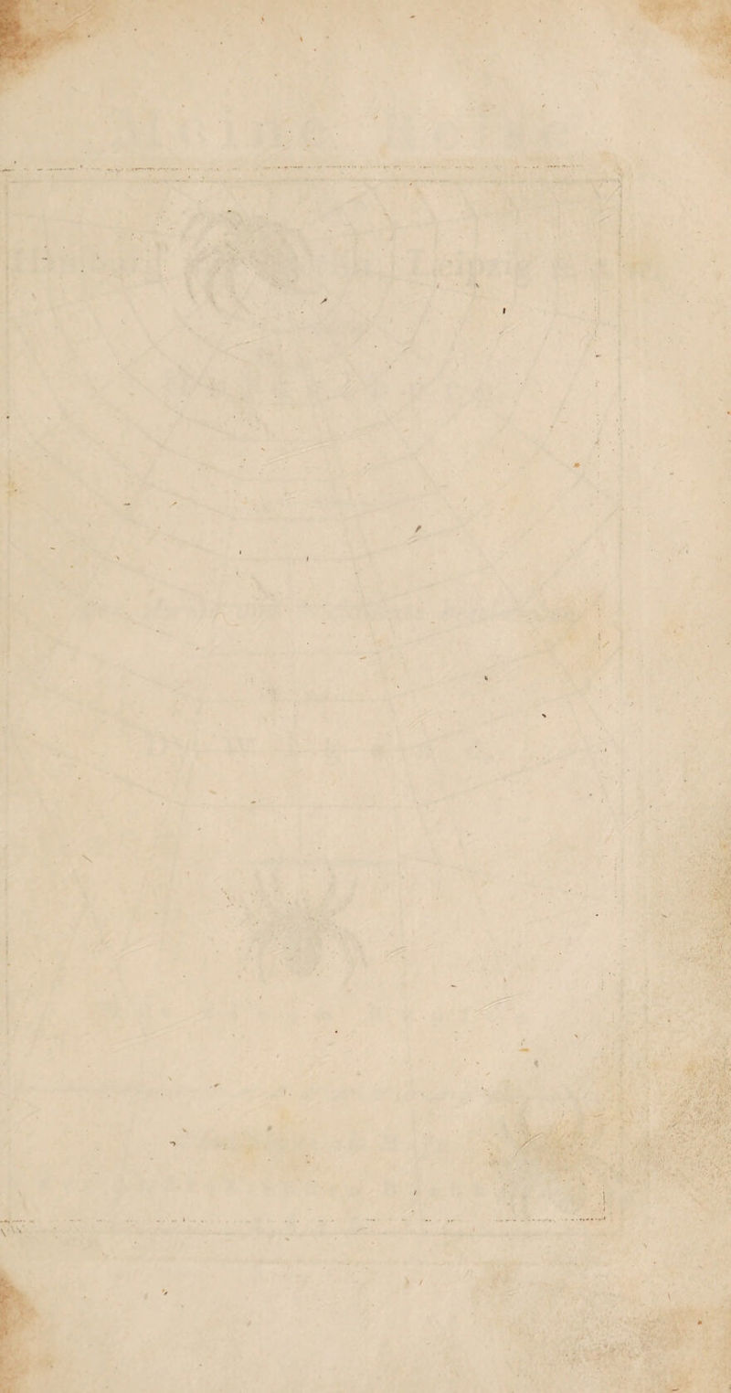 58 Ein paar Tage früher besuchte ich das Taubstum- men-Institut. Der jetzige, um diese Anstalt so hoch verdiente Vorsteher desselben ist Herr Professor Grashoff, ein Mann von mittlern Jahren, und einem zwar nicht grofsen, aber doch imponirendenÄufsern. Sein Gesicht ist, im Ganzen genommen, ernst, doch hat er einen, wenn ich’s so nennen darf, schelmisch¬ freundlichen Zug darin, der bei Kindern grofse Wir¬ kung thun mufs. Um seinen Mund liegt schon eine Menge starker Falten, welche gewifs weniger seinem Alter oder seinen ökonomischen Sorgen, als dem immerwährenden Bestreben angehören ^ sich seinen Schülern beimVorsprechen der Buchstaben und Worte, so deutlich und sichtbar als möglich zu machen. Be¬ sonders gefiel mir an ihm die Einfachheit, Wahrheit und Kürze aller seiner Pantominen z. B. in Pallen , wo er unzufrieden mit den Kindern war, oder wo > diese es schneller machen, oder etwas wiederholen sollten 5 und dann auch die kühle Besonnenheit und sichere innere Ruhe, welche er in allen denjenigen Fällen zu behaupten wufste, wo es, des stärkern Eindrucks wegen, nöthig war, heftig und aufgebracht zu scheinen. Er that dieses und soviel anders mit einer solchen Meisterhaftigkeit, dafs er dadurch, w enigstens bei mir, seinen Beruf zu diesem grofsen , menschenfreundlichen Unterrichte auf das vollkom¬ menste bewährt hat. — So erenau ich nun übrigens schon durch die Schriften des verstorbenen Eschke mit der Methode in dieser Anstalt bekannt war, so gewährte es mir doch ein überaus grofses Vergnügen*