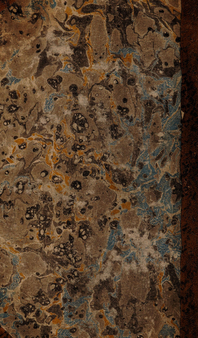 84 Zeichen bemerkt werden, so lange, glaube ich, ist wohl auch noch kein Wasser in derHirnhöhle befindlich. Es scheinen diese Umstände nur noch erst auf eine ungewöhnliche Vollsaftigheit, Schwere, Gröfse, Weichheit, Beweglichkeit und eigenthümliche Em¬ pfindlichkeit, oder, mit andern Worten, auf eine periodisch stärkere Evolution des Hirns und seiner Umgebungen hinzudeuten. Aber gerade aus diesem periodischen, vorübergehenden Zustande ist nun der Übergang so leicht in jene stärkere und dauernde Stimmung oder Thätigkeit des Hirns, wodurch endlich das Wasser erzeugt wird. Was nun diesen oft sehr plötzlichen Übergang selbst veranlasset, ist noch nicht ergründet. Zuweilen mag hier wohl auch eine aufsere Ursache mitwirken, wie z. B. grofse Gaben von Opium, heftige Kopferschütterungen, langes Umhertragen in der Sonnenhitze u. d. gl.; am öftersten entspringt aber gewifs das letzte grüfsere Übel aus einer Ursache im Hirn selbst. Das Hirn ist hier wie eine überladene Leidner Flasche zu betrachten, an welcher der Funken am Ende auch ohne Konductor, ganz von selbst von einem Belege zum andern über¬ springt. Es beruht deshalb auch, wie wir unten sehen werden, die ganze Kunst des Arztes bei dieser Krankheit auf der Geschicklichkeit, dieser Überladung vorzubeugen. Die Zeichen der entstandenen Über¬ ladung sind aber folgende : Der Kopf und besonders das Hinterhaupt nimmt nun in wenig Tagen, ja oft in wenig Stunden, an seinem Umfange und besonders an Breite , bedeutend zu. Es w erfen sich oft grofse