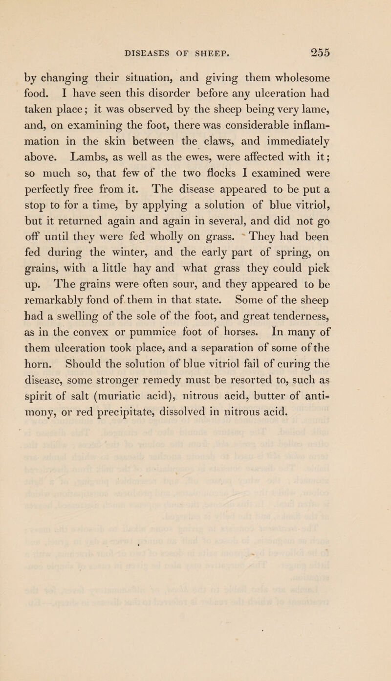 by changing their situation, and giving them wholesome food. I have seen this disorder before any ulceration had taken place; it was observed by the sheep being very lame, and, on examining the foot, there was considerable inflam¬ mation in the skin between the claws, and immediately above. Lambs, as well as the ewes, were affected with it; so much so, that few of the two flocks I examined were perfectly free from it. The disease appeared to be put a stop to for a time, by applying a solution of blue vitriol, but it returned again and again in several, and did not go off until they were fed wholly on grass. ' They had been fed during the winter, and the early part of spring, on grains, with a little hay and what grass they could pick up. The grains were often sour, and they appeared to be remarkably fond of them in that state. Some of the sheep had a swelling of the sole of the foot, and great tenderness, as in the convex or pummice foot of horses. In many of them ulceration took place, and a separation of some of the horn. Should the solution of blue vitriol fail of curing the disease, some stronger remedy must be resorted to, such as spirit of salt (muriatic acid), nitrous acid, butter of anti¬ mony, or red precipitate, dissolved in nitrous acid.