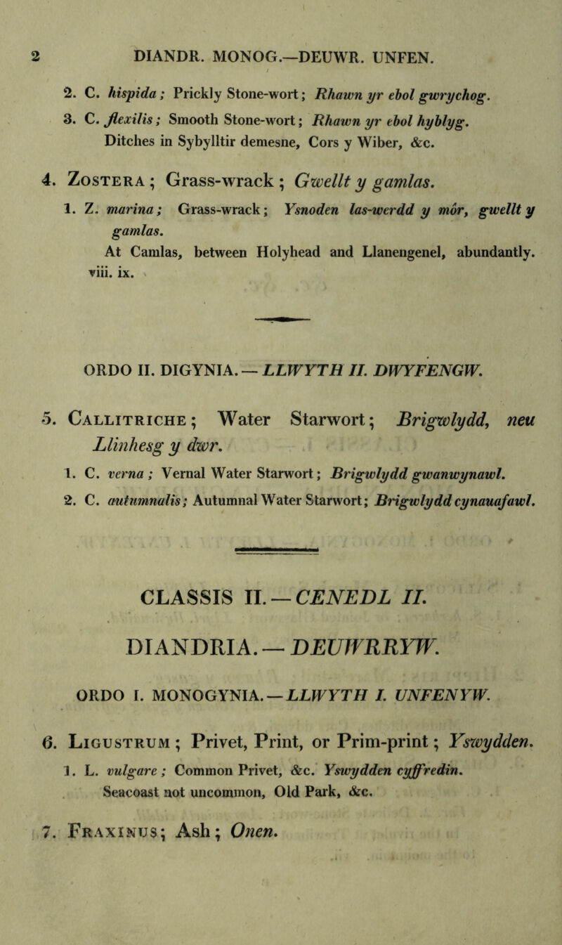 2 DIANDR. MONOG.—DEUWR. UNFEN. 2. C. hispida; Prickly Stone-wort; Rhawn yr ebol gwrychog. 3. C. Jlexilis; Smooth Stone-wort; Rhawn yr ebol hyblyg. Ditches in Sybylltir demesne, Cors y Wiber, &c. 4. Zostera ; Grass-wrack ; Gwellt y gamlas. 1. Z. marina; Grass-wrack; Ysnoden las-werdd y mor, gwellt y gamlas. At Camlas, between Holyhead and Llanengenel, abundantly, viii. ix. ORDO II. DIGYNIA. — LLWYTHII. DWYFENGW. o. Callitriche; Water Starwort; Brigwlydd, neu Llinhesg y dwr. 1. C. verna; Vernal Water Starwort; Brigwlydd gwanwynawl. 2. C. mitumnalis; Autumnal Water Starwort; Brigwlyddcynauajawl. CLASSIS II. — CENEDL II. DIANDRIA. — DEUJVRRYW. ORDO I. MONOGYNIA. — LLWYTIJ I. UNFENYW. 6. Ligustrum ; Privet, Print, or Prim-print; Yszeydclen. 1. L. vulgare; Common Privet, &c. Yswydden cyffredin. Seacoast not uncommon. Old Park, &c. 7. Fraxinus; Ash; Onen.